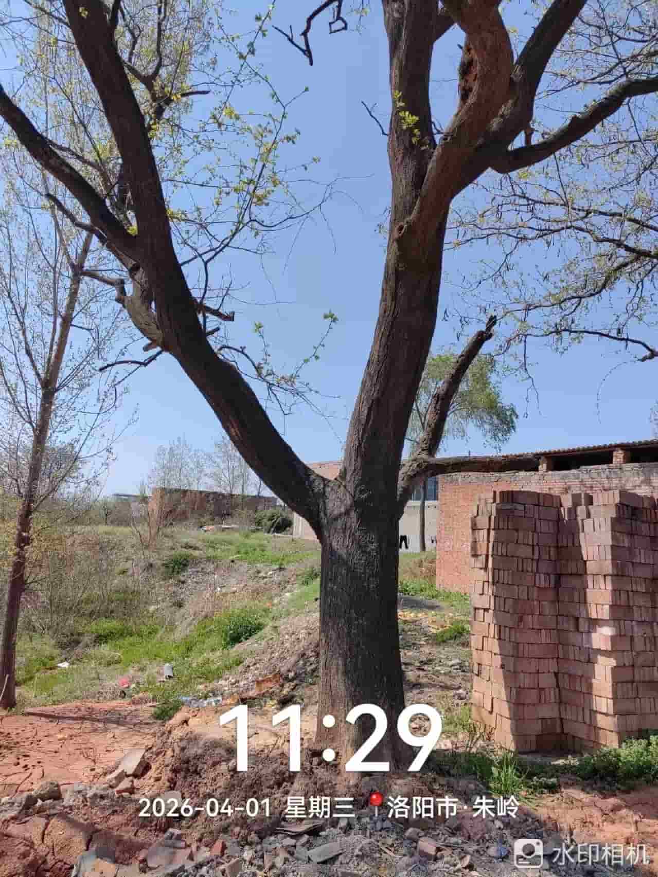 41032900551
