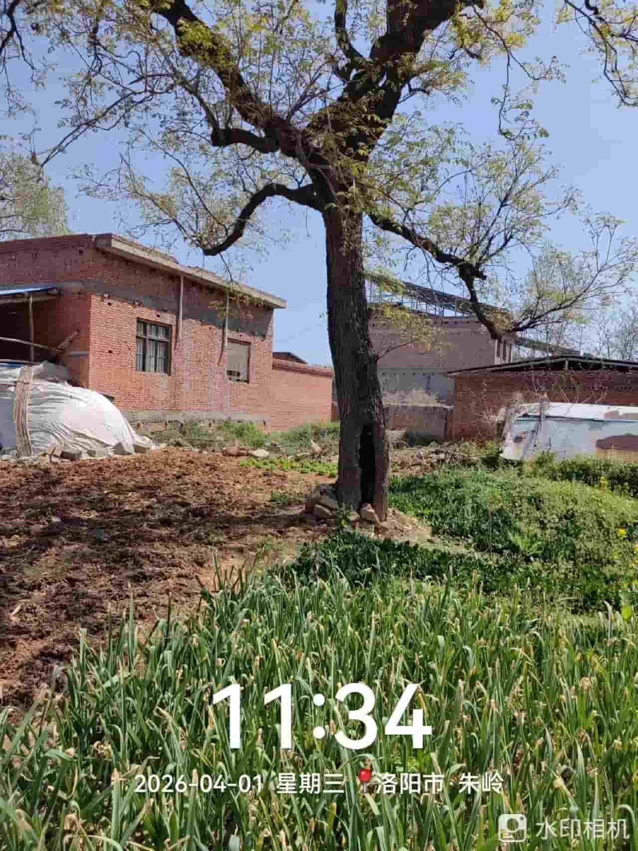 41032900553