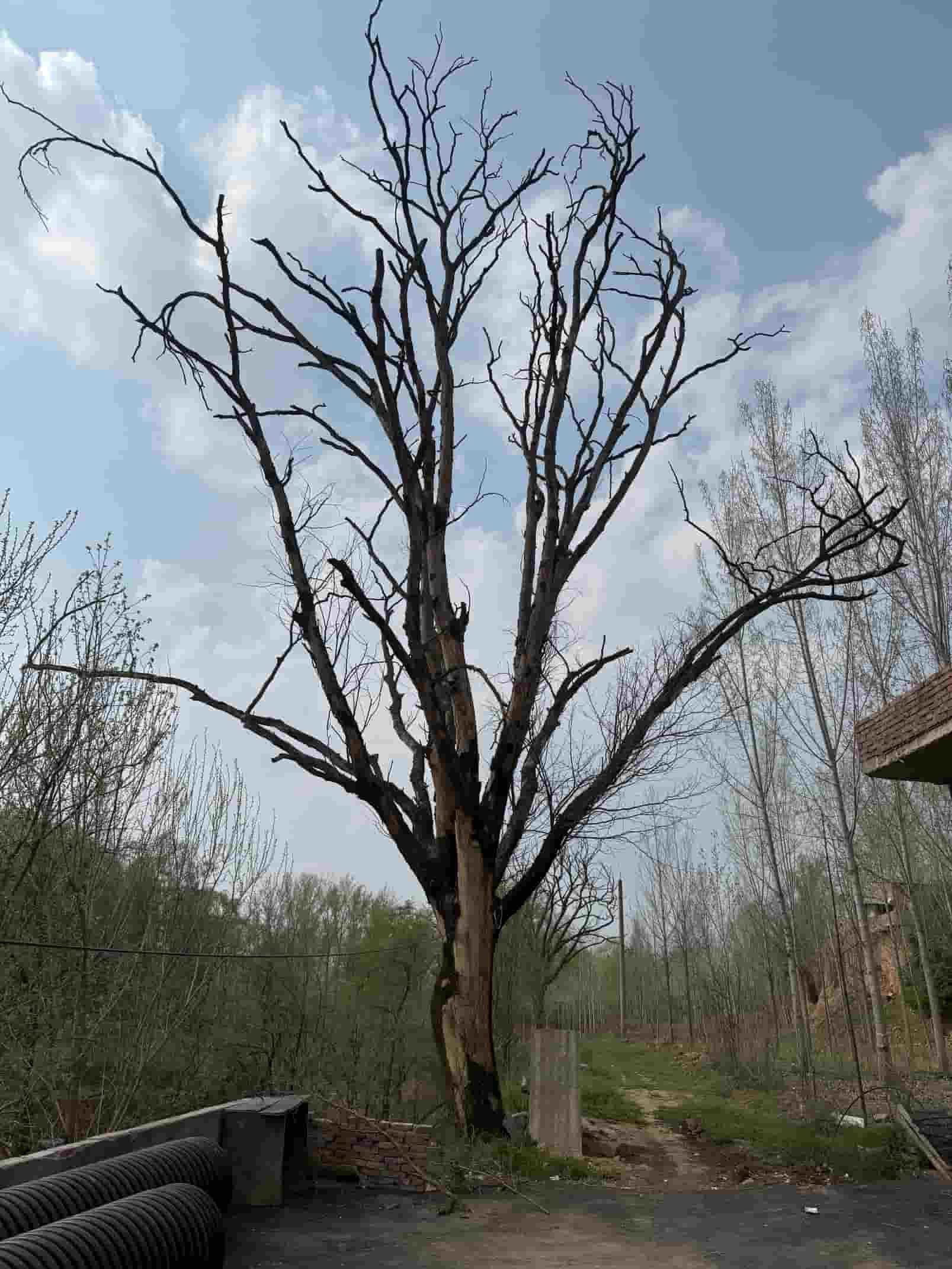 41032900568