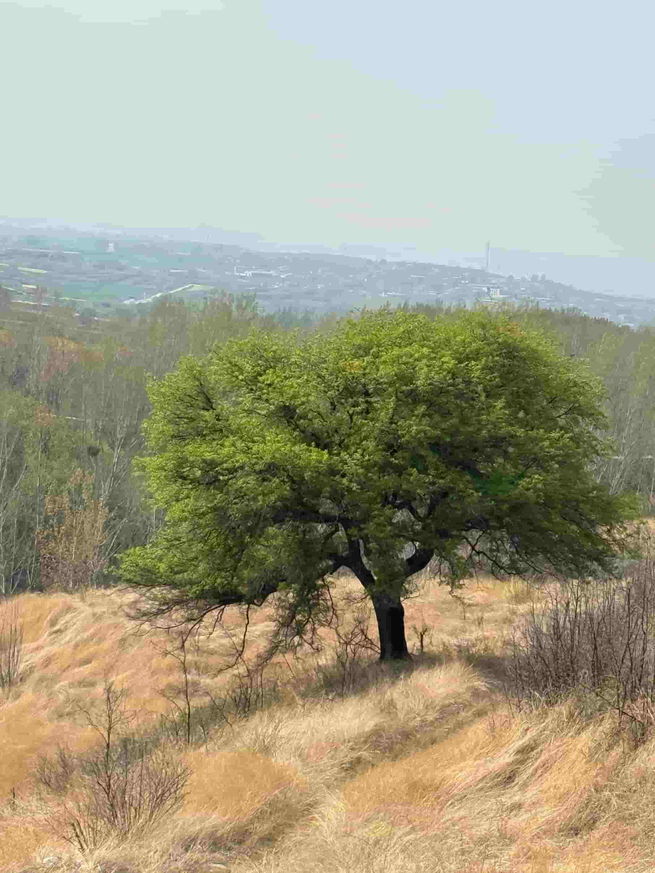 41032900570-3