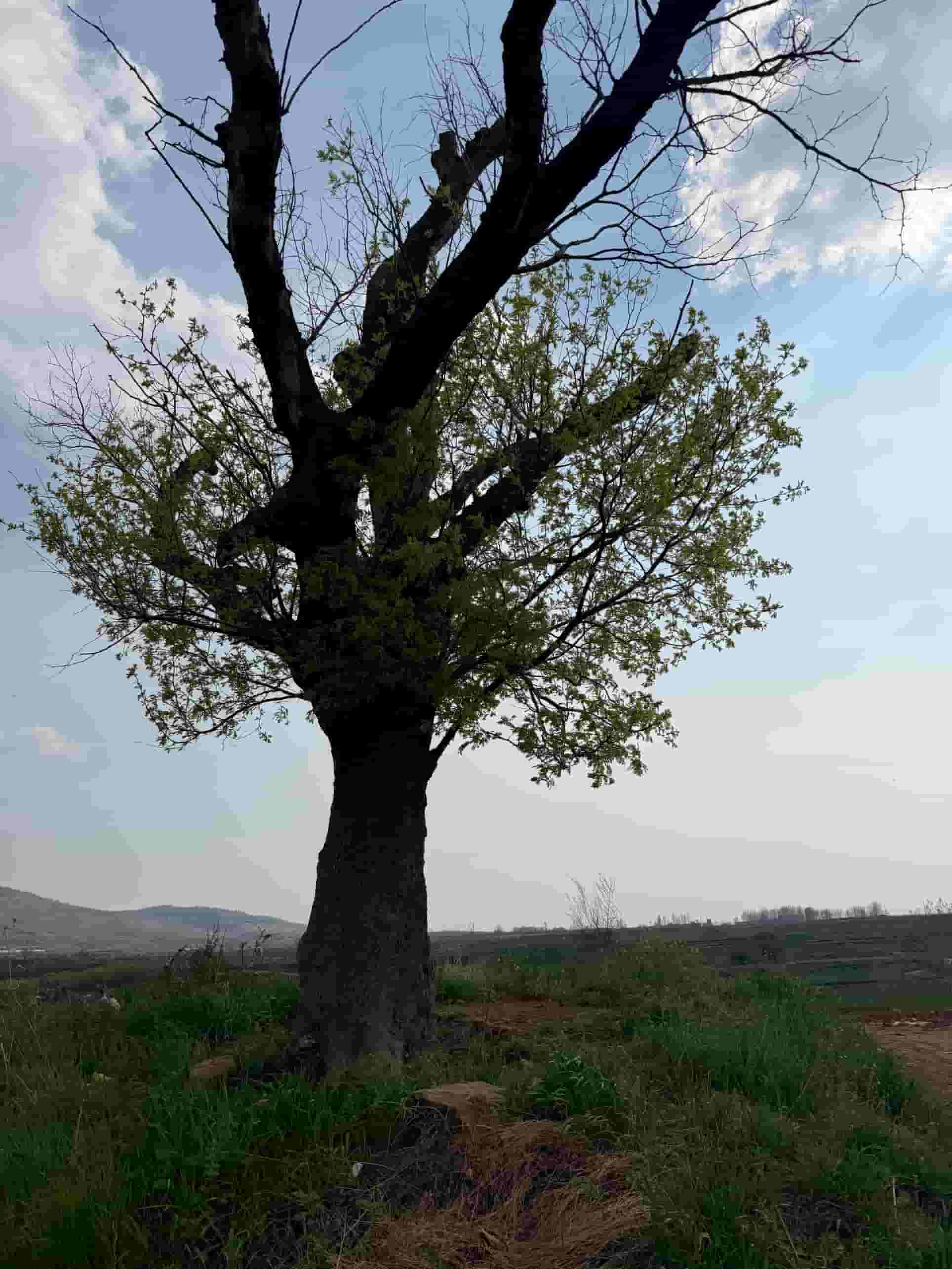 41032900571