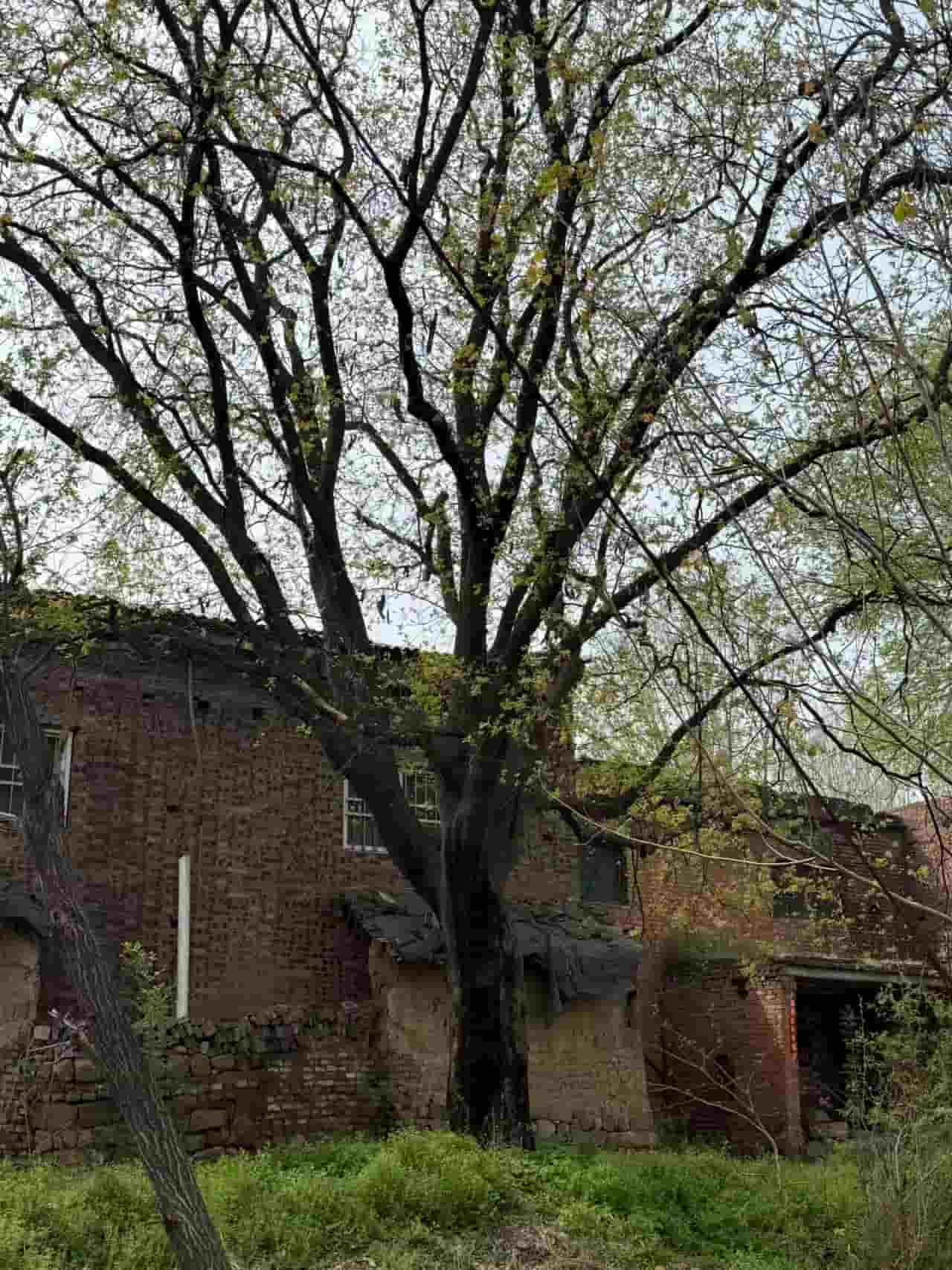 41032900576