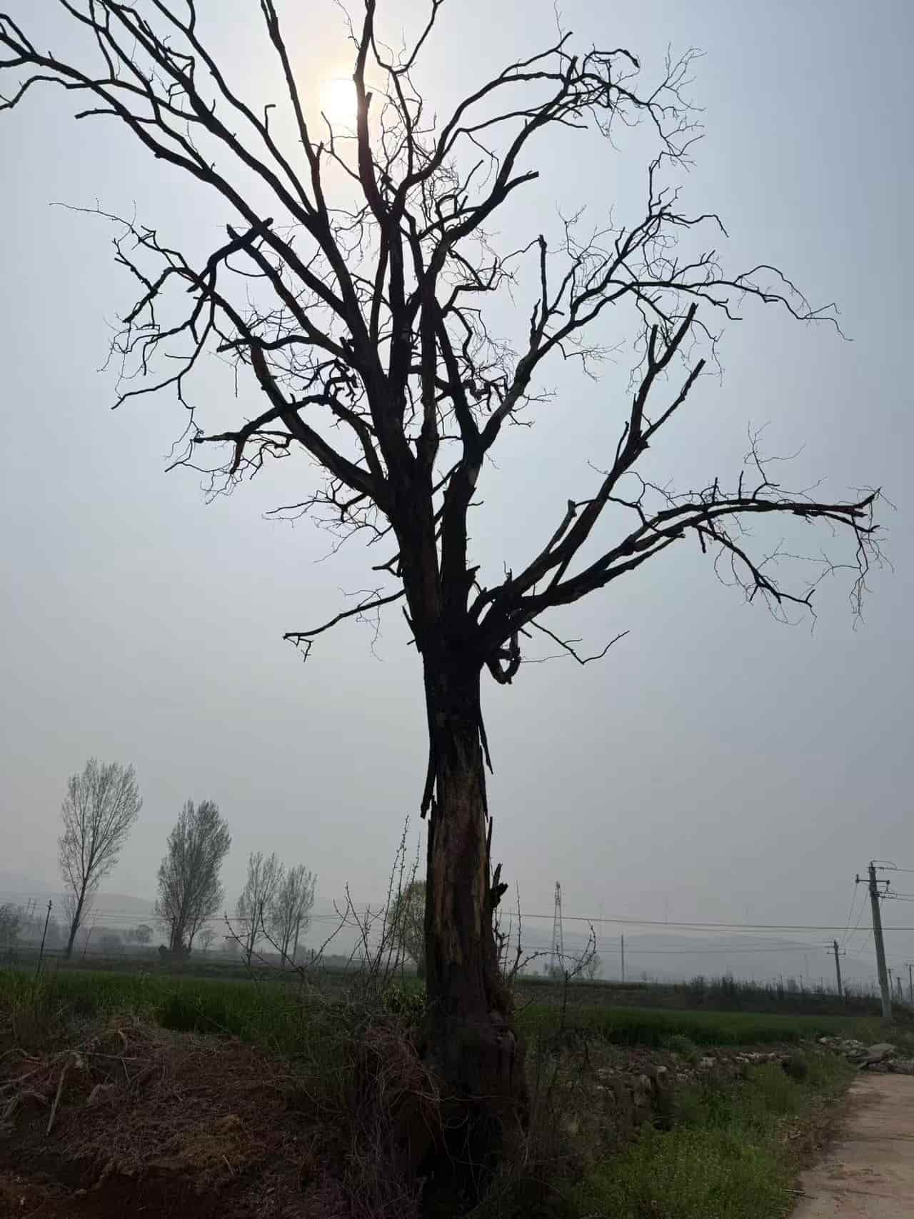 41032900577