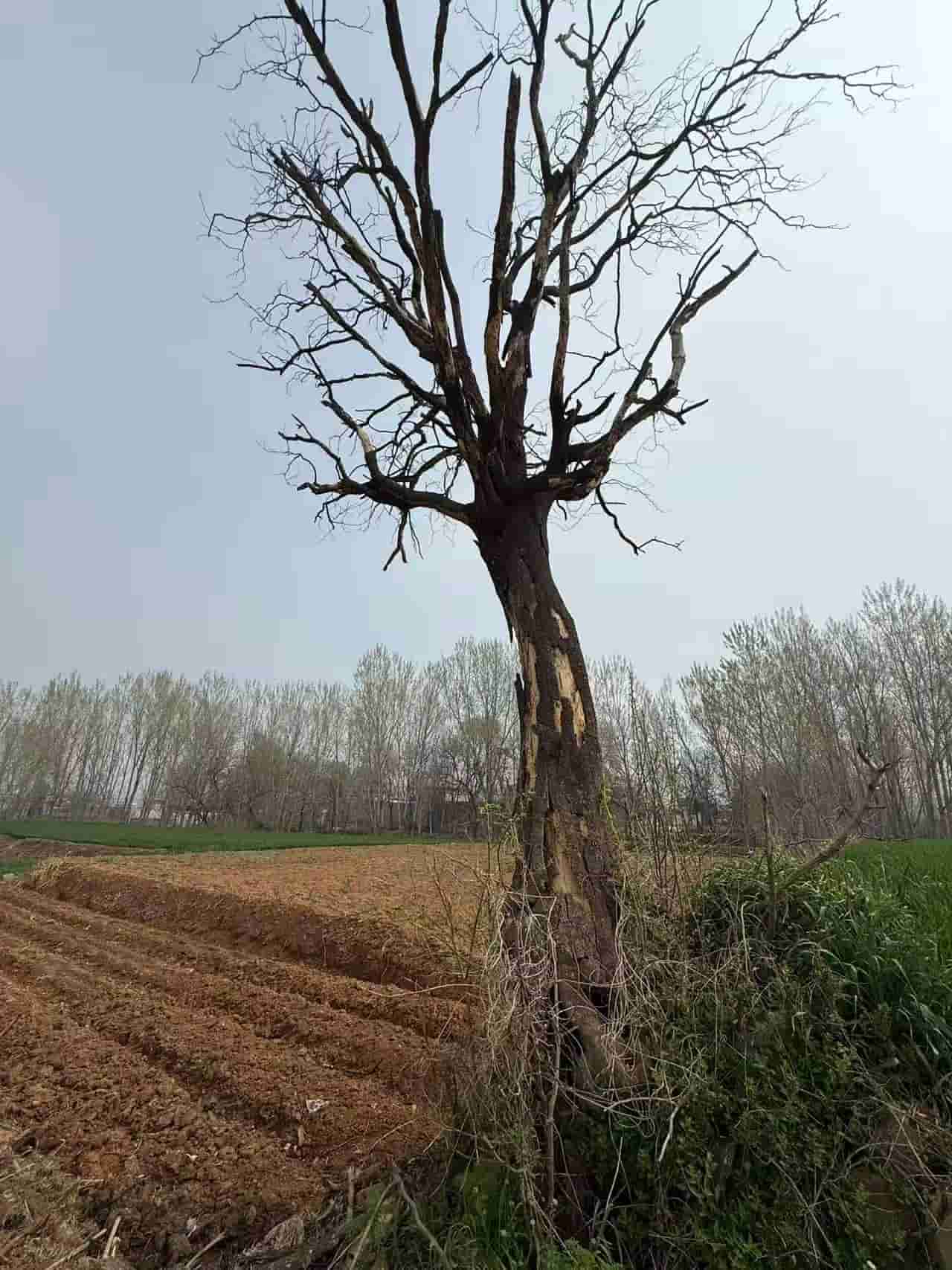 41032900577-3