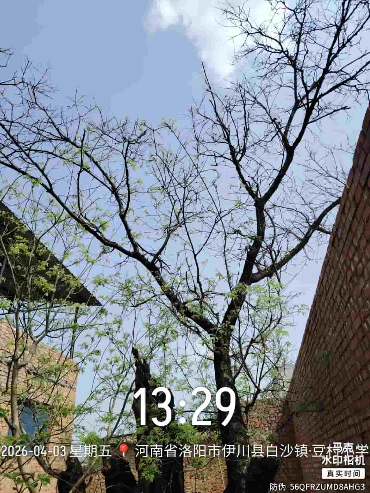 41032900578