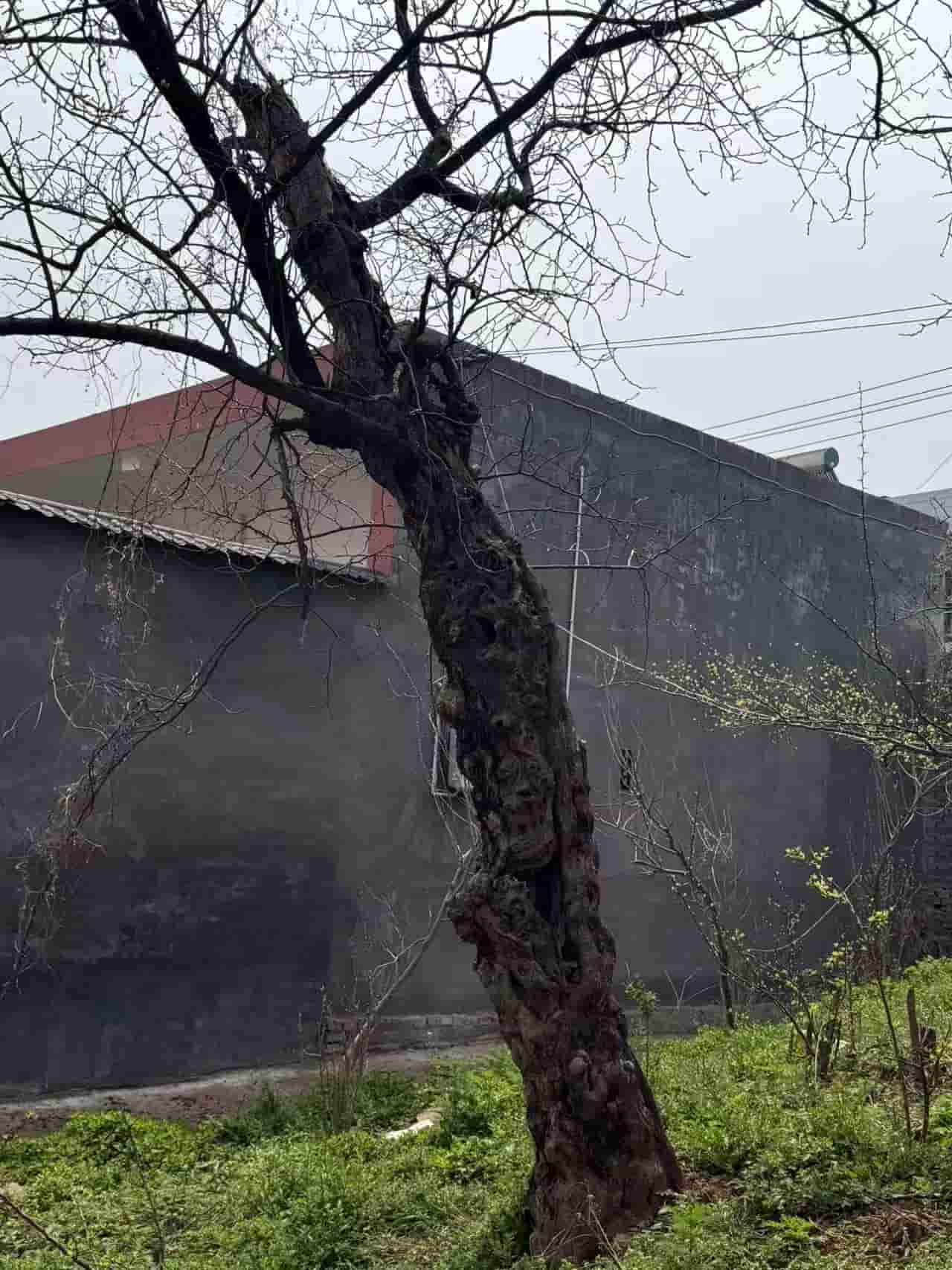 41032900589-2
