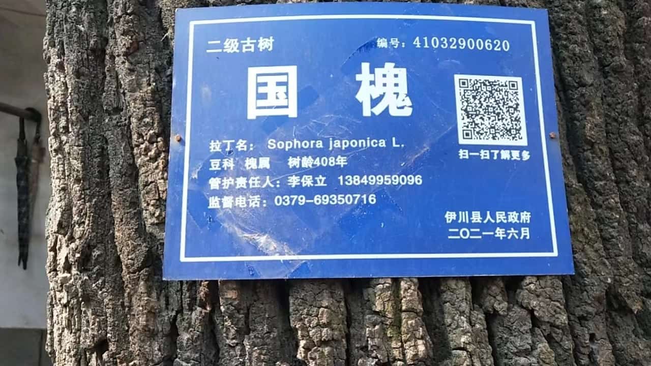 41032900620-3