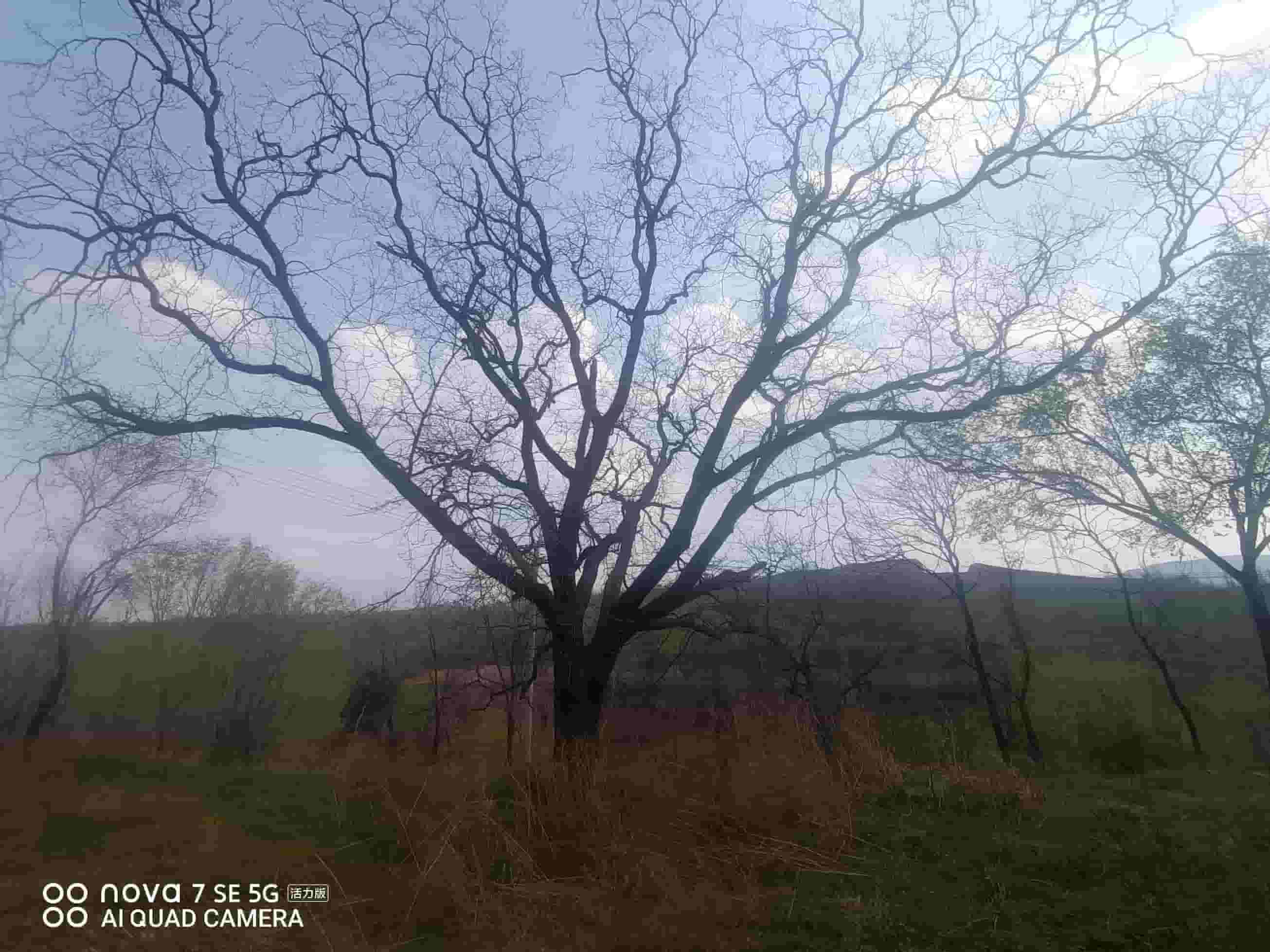 41032900621