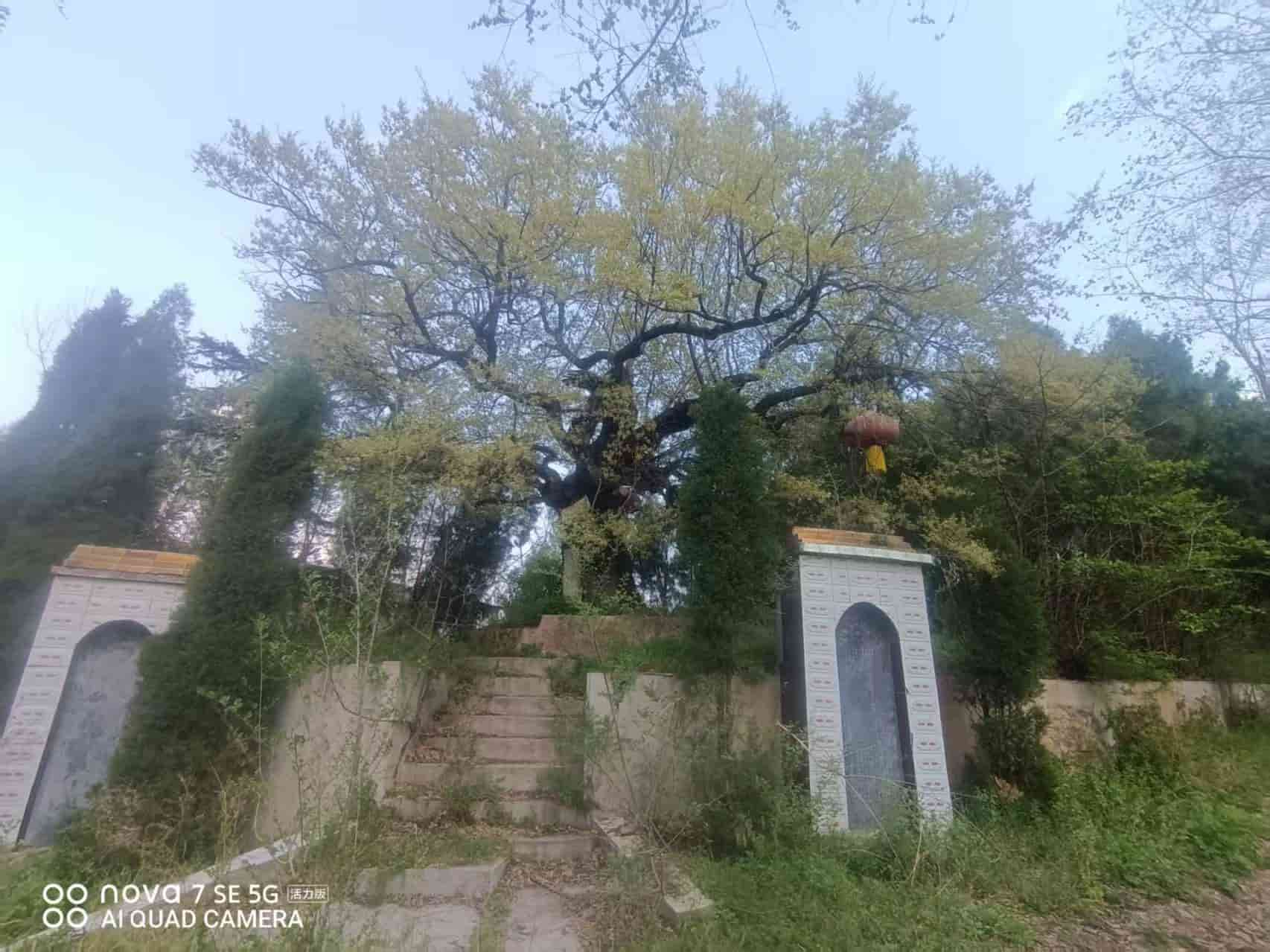 41032900622