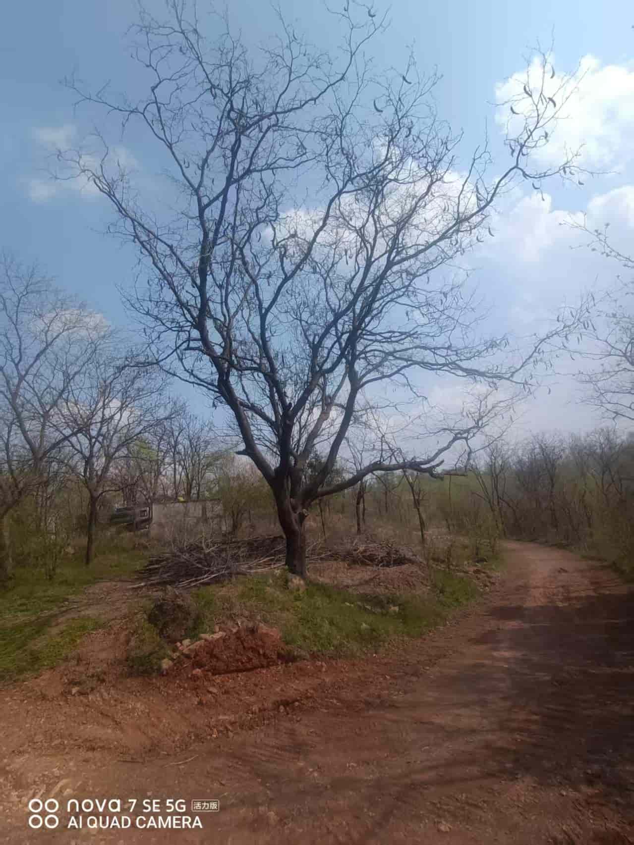 41032900623