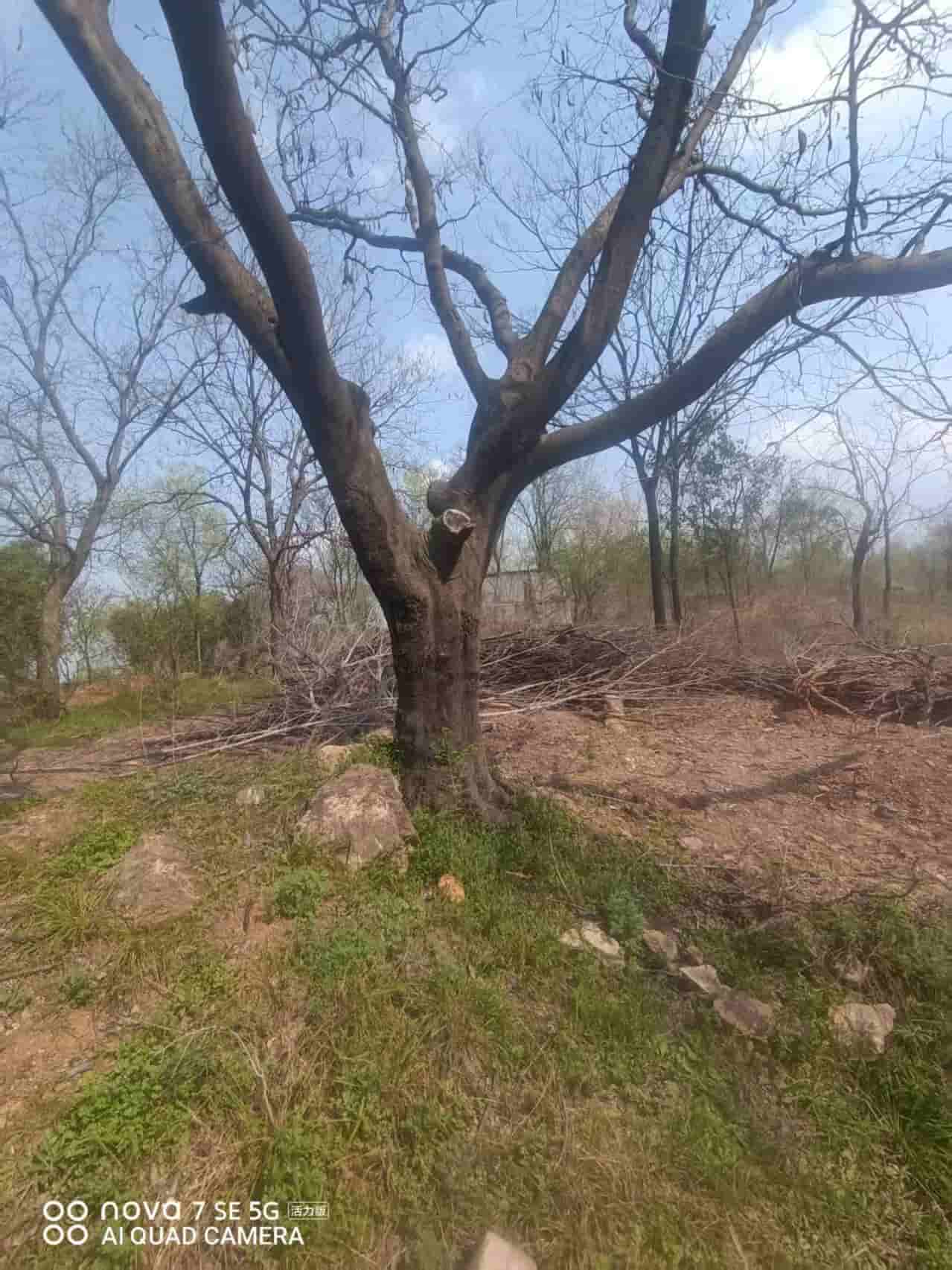 41032900623-3