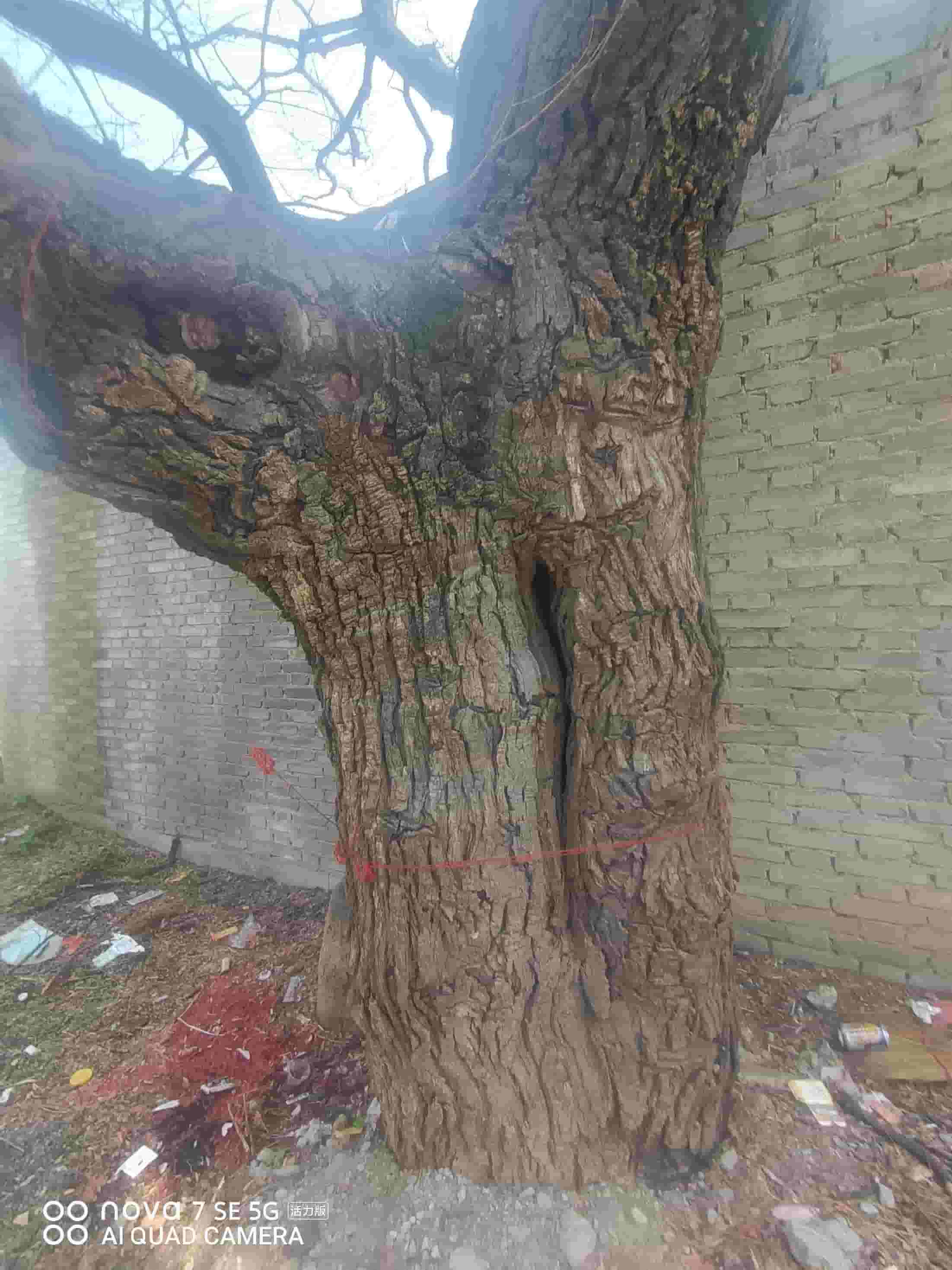 41032900624-3