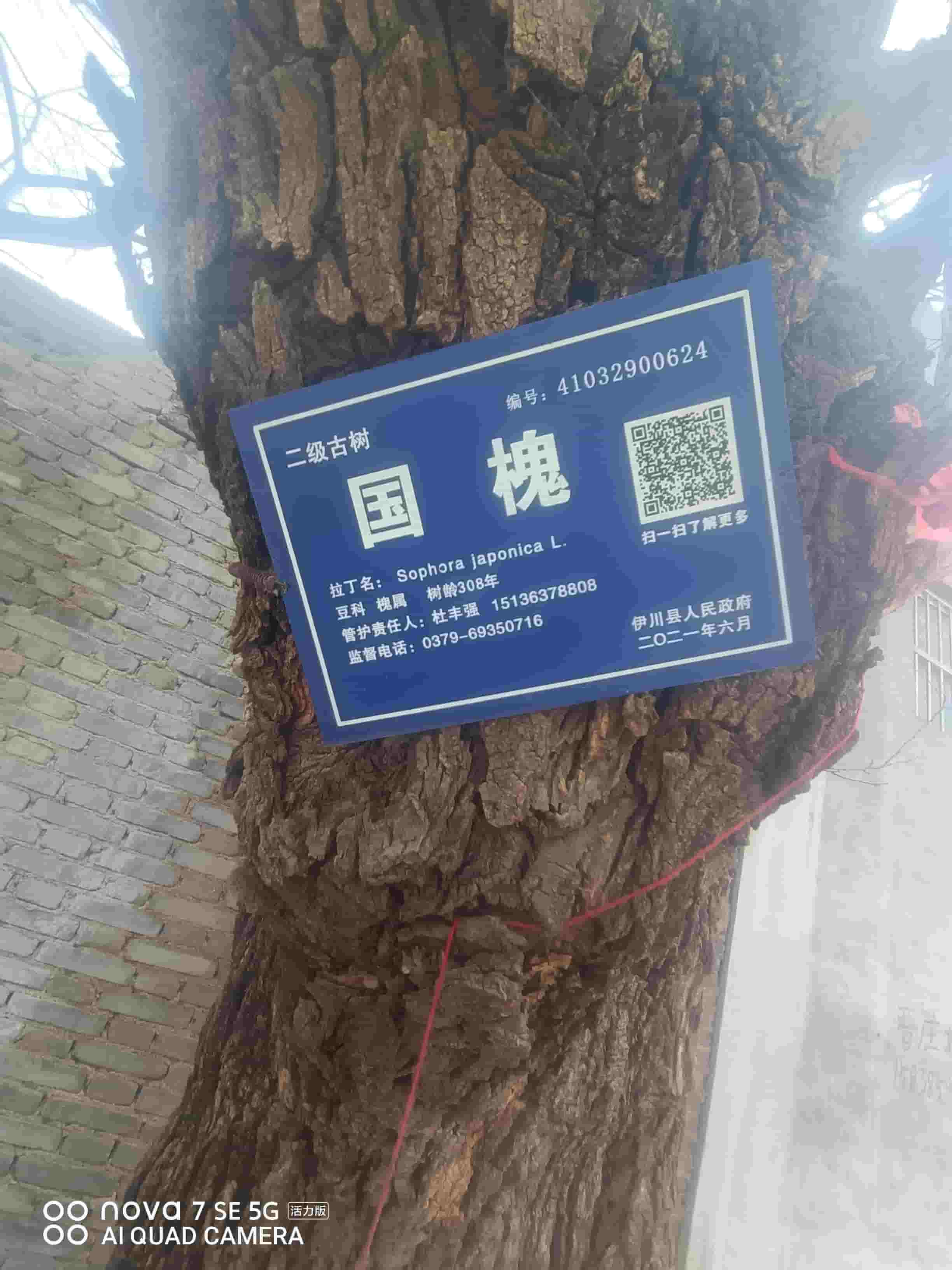 41032900624-4