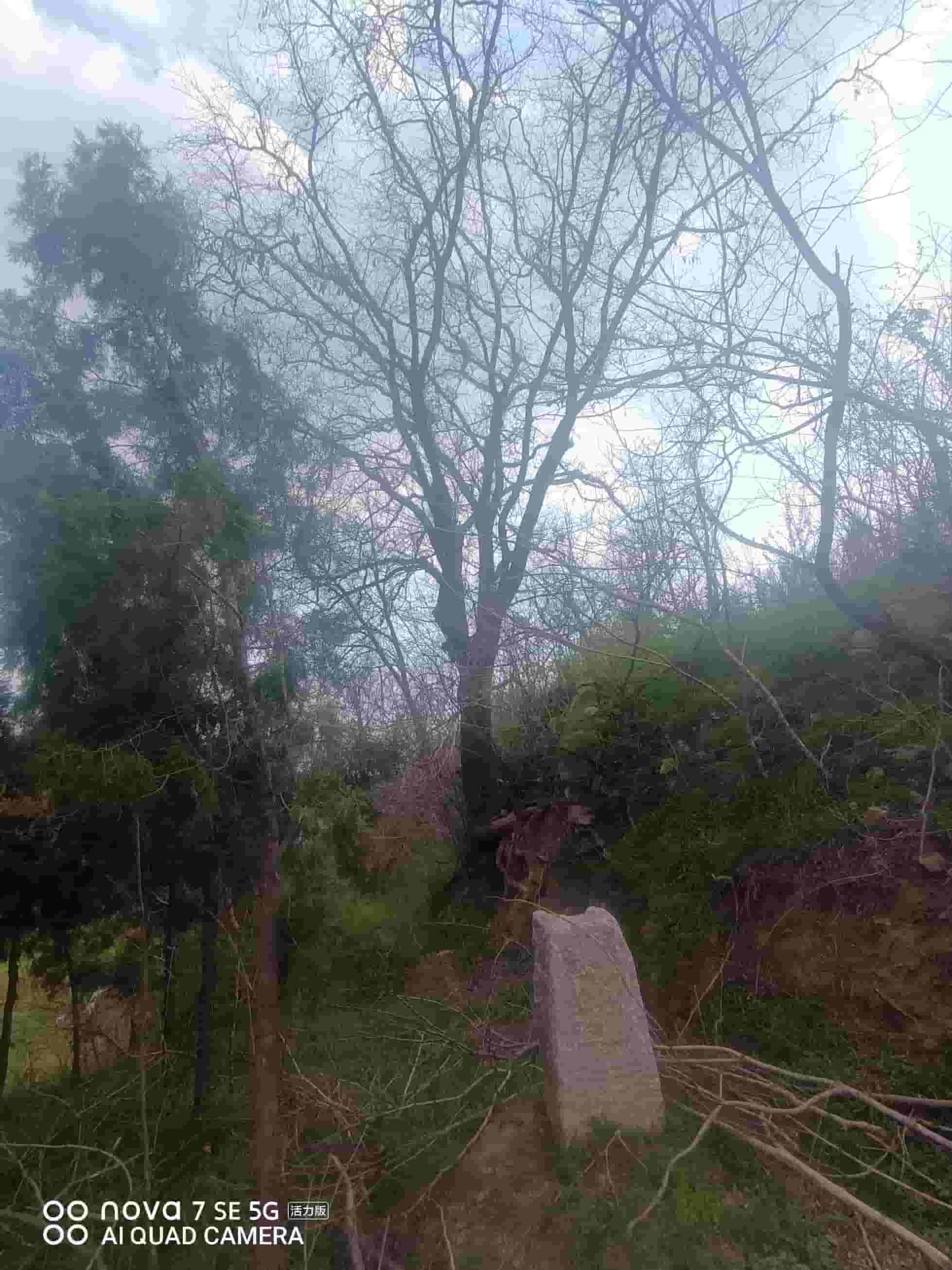 41032900626