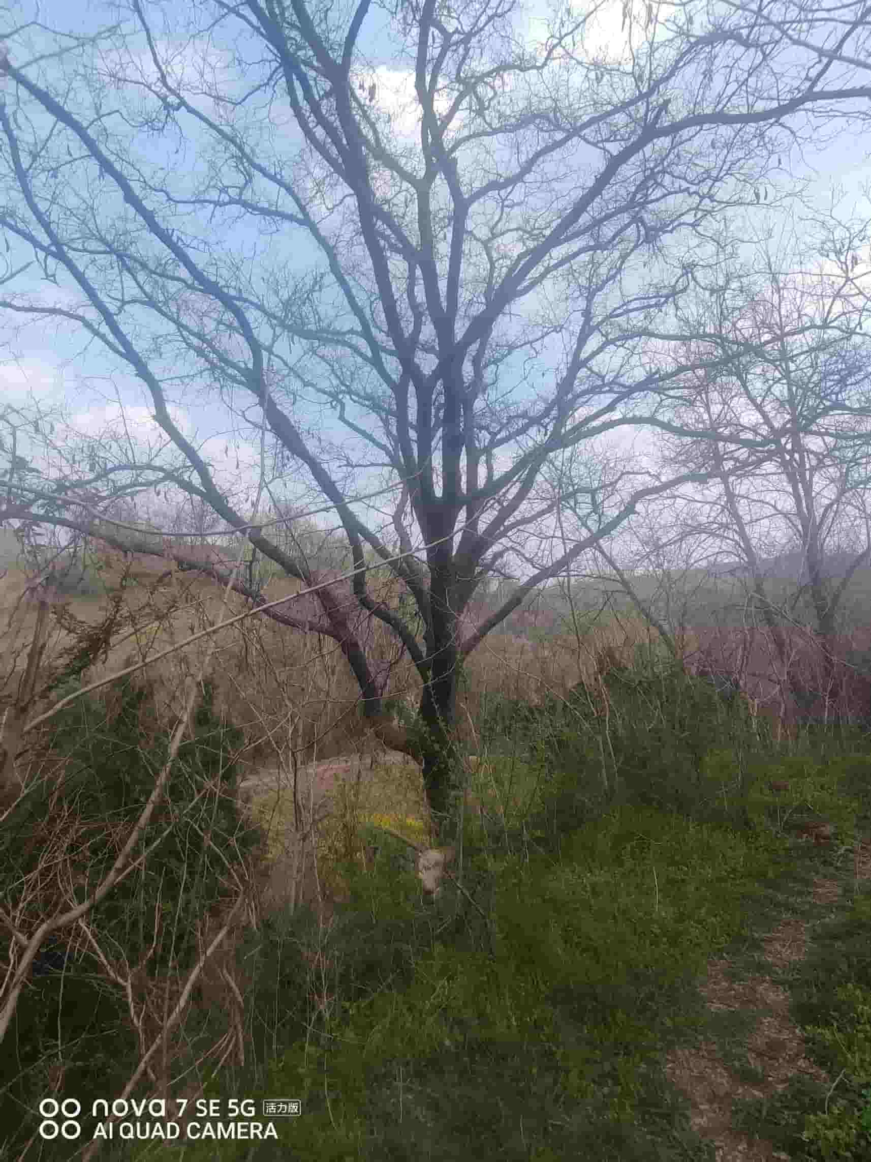 41032900626-2