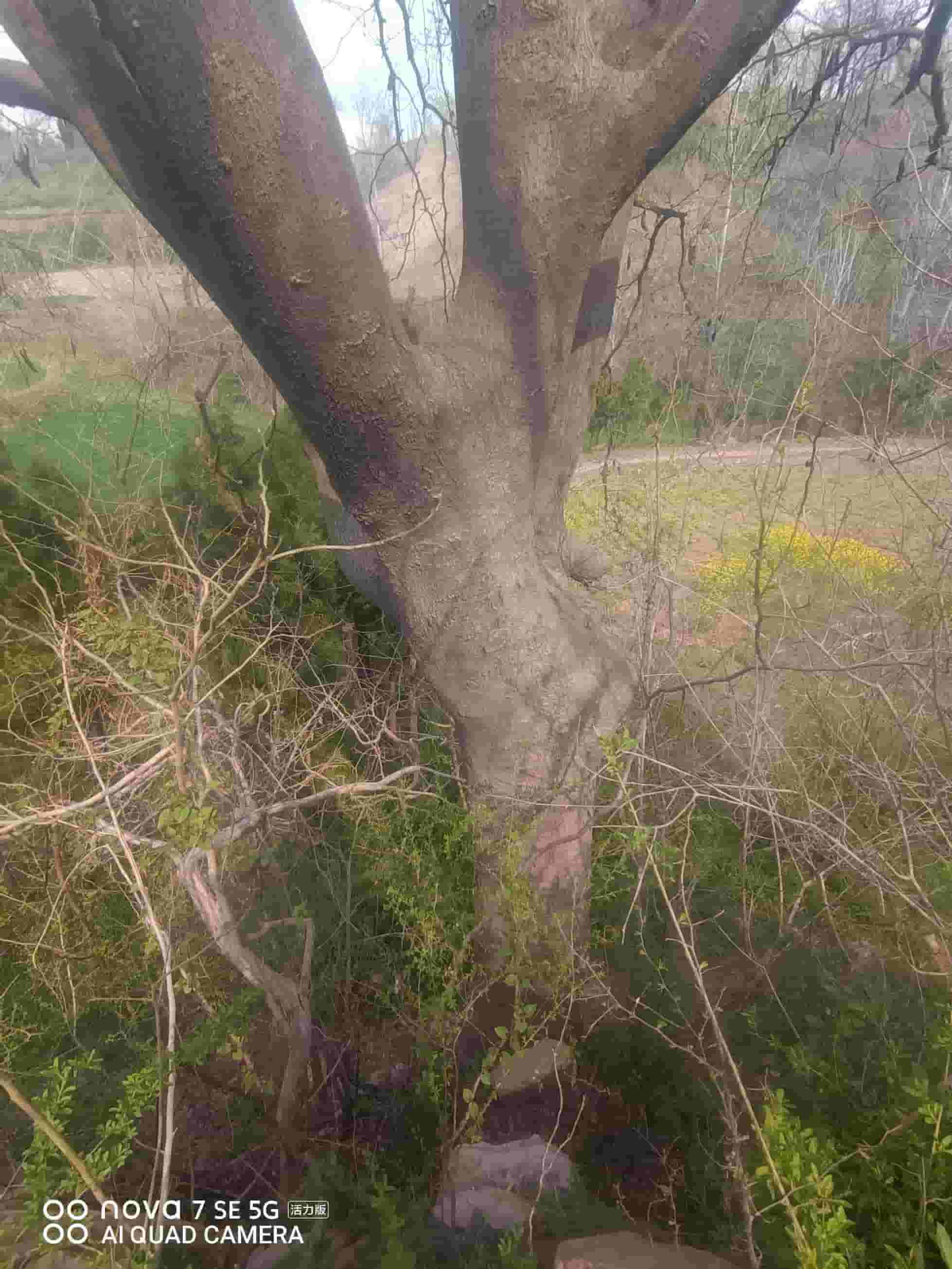 41032900626-4