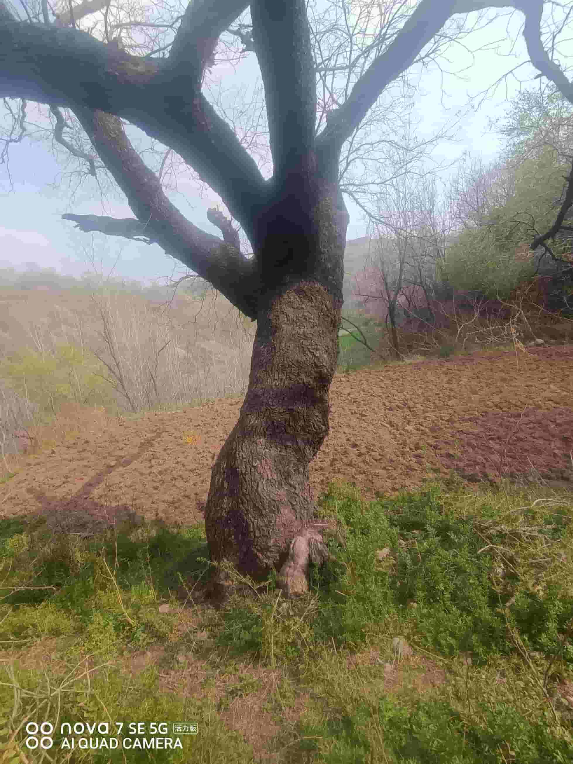 41032900627-3