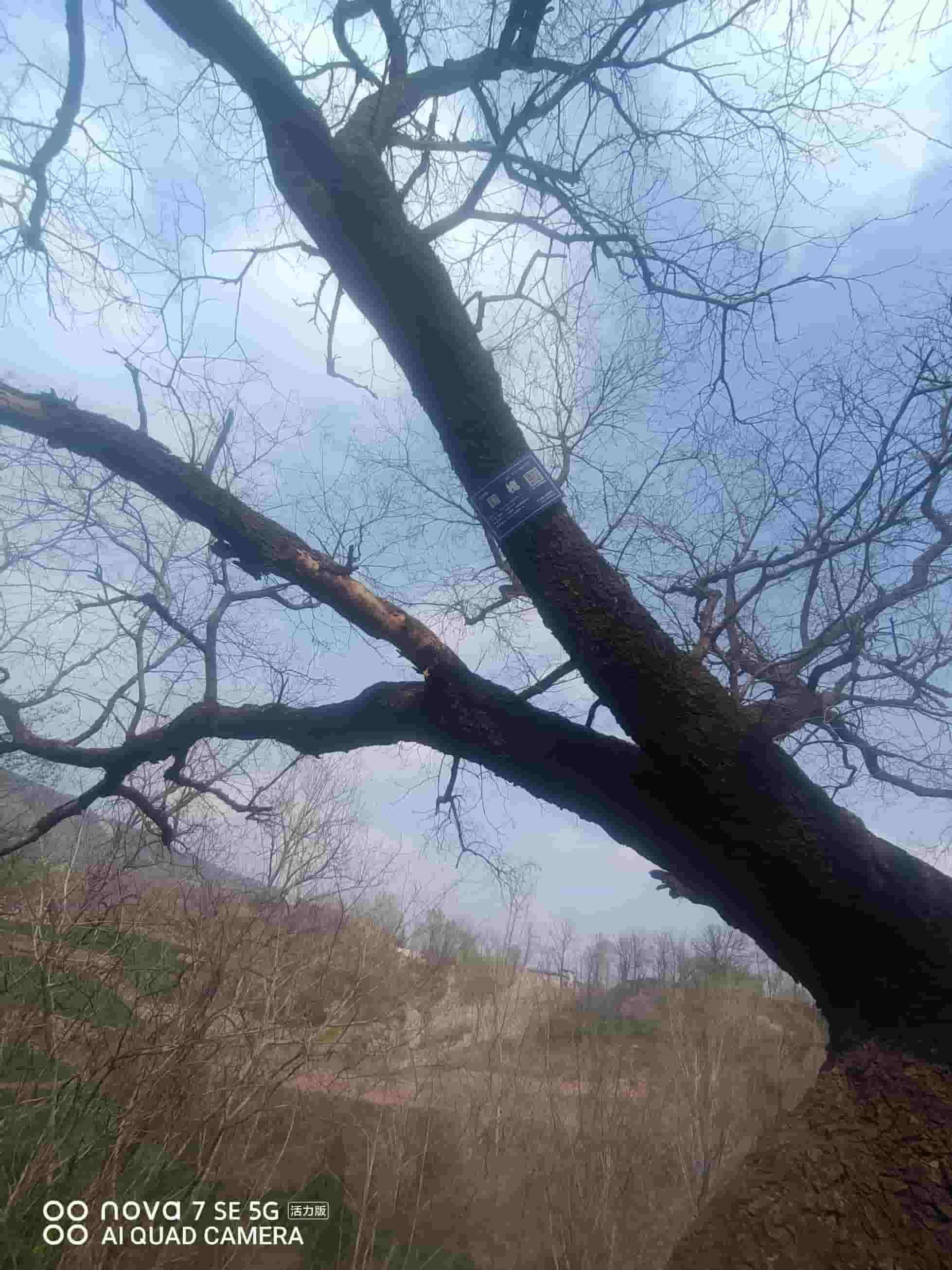 41032900627-5