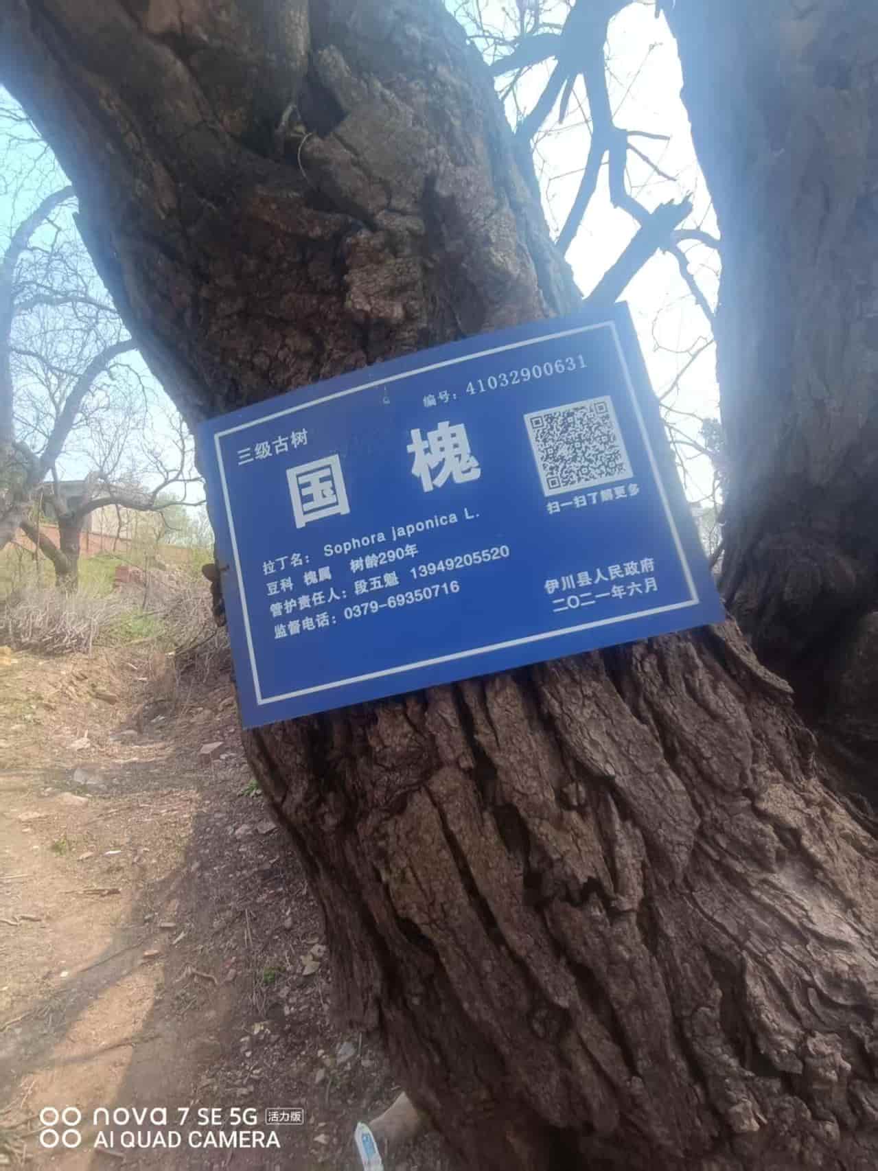 41032900628-4