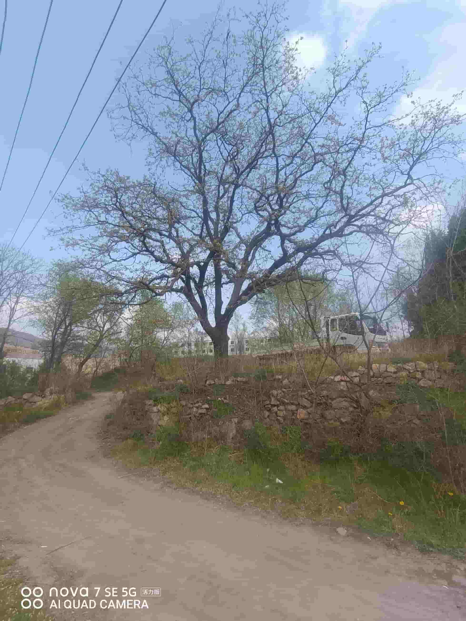 41032900628-5