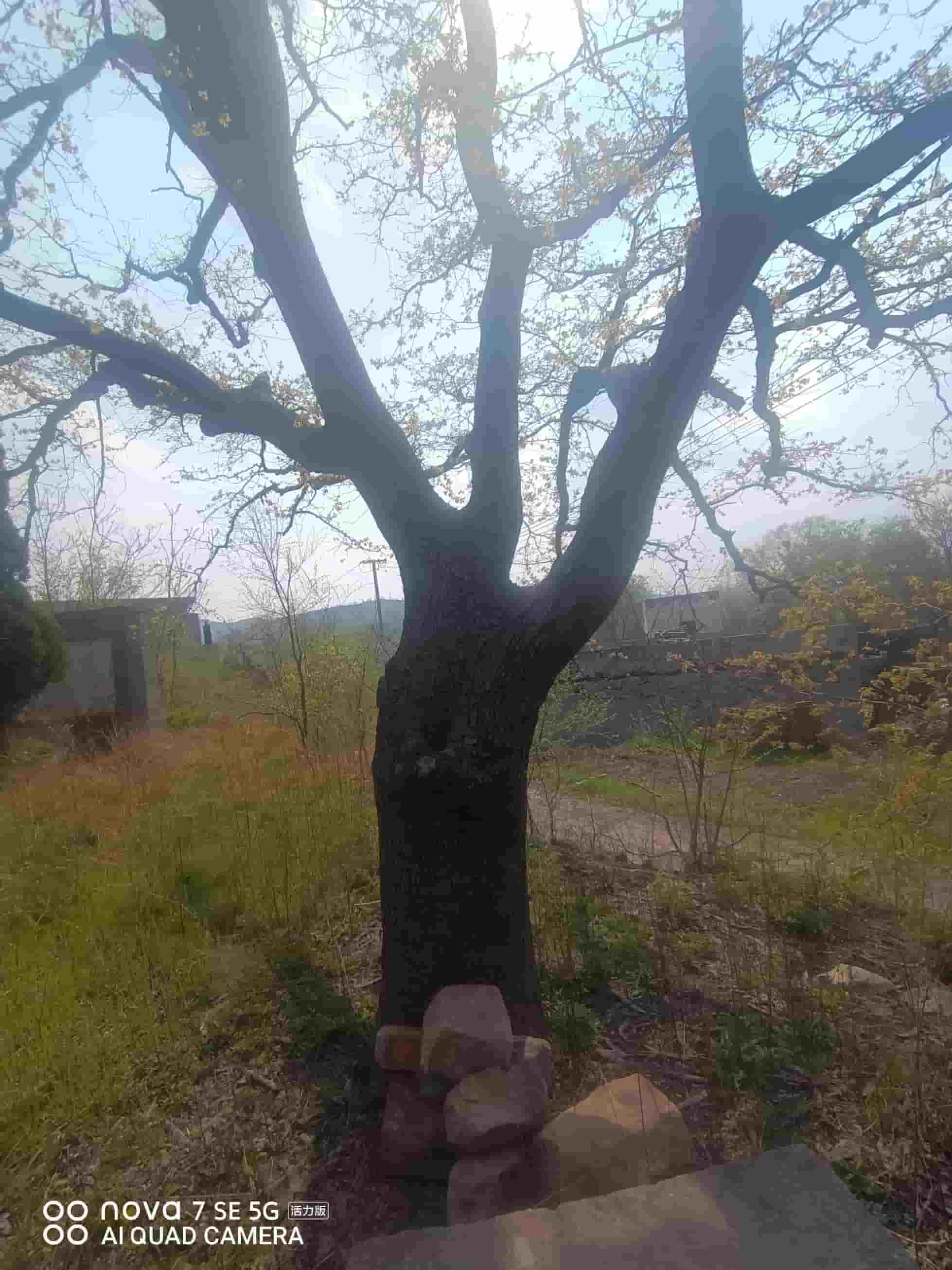 41032900628-7