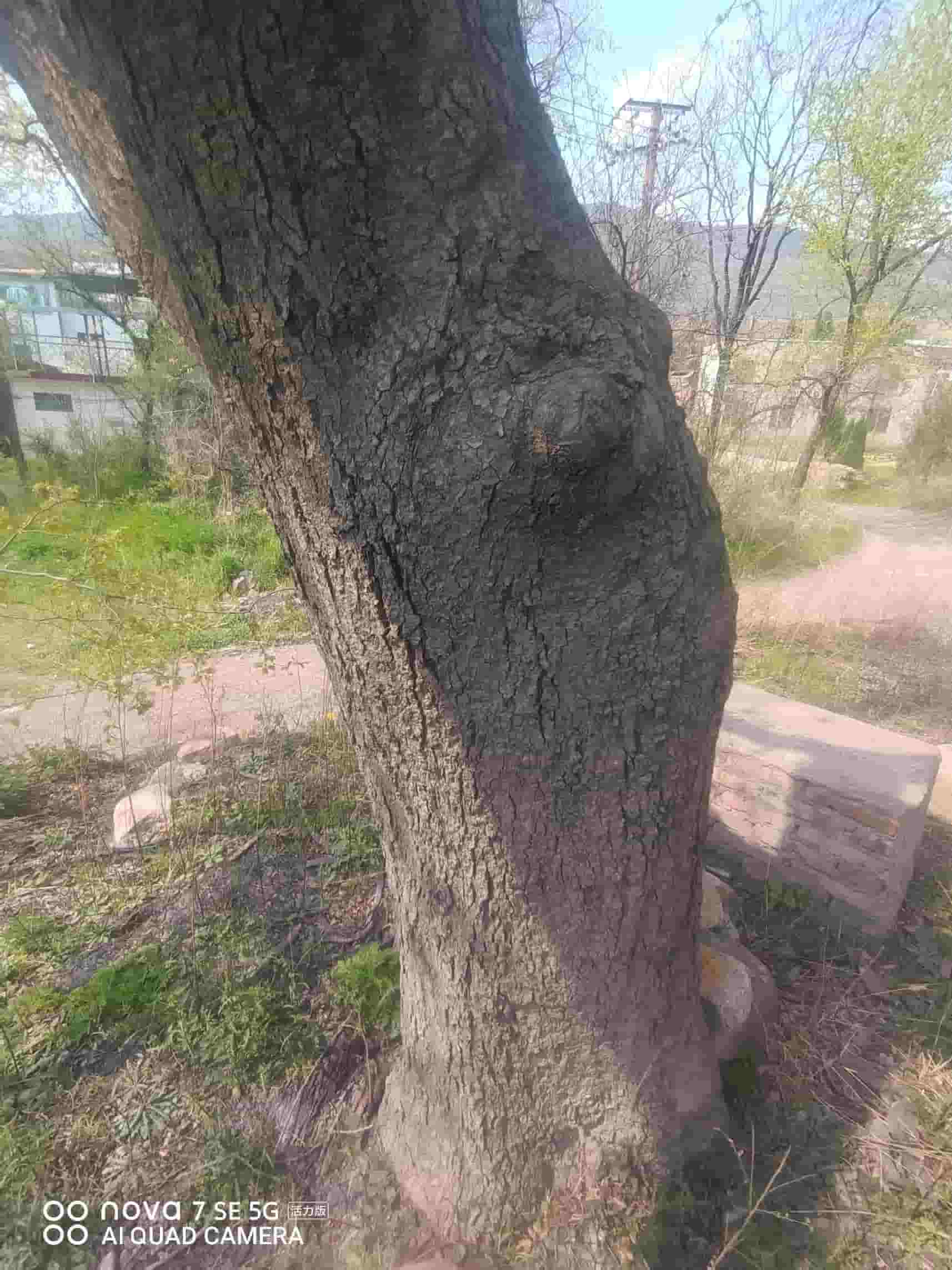 41032900628-8