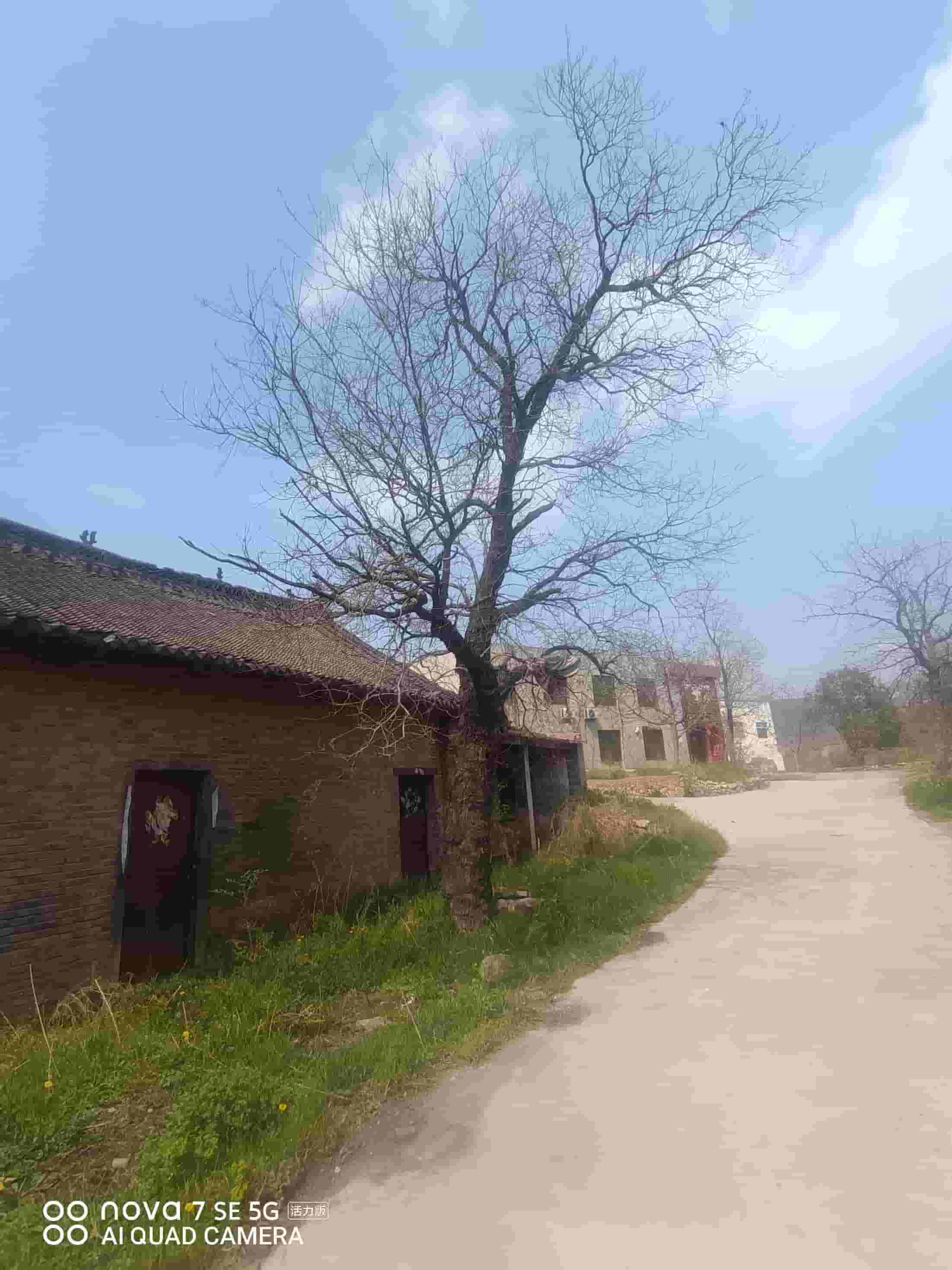41032900629