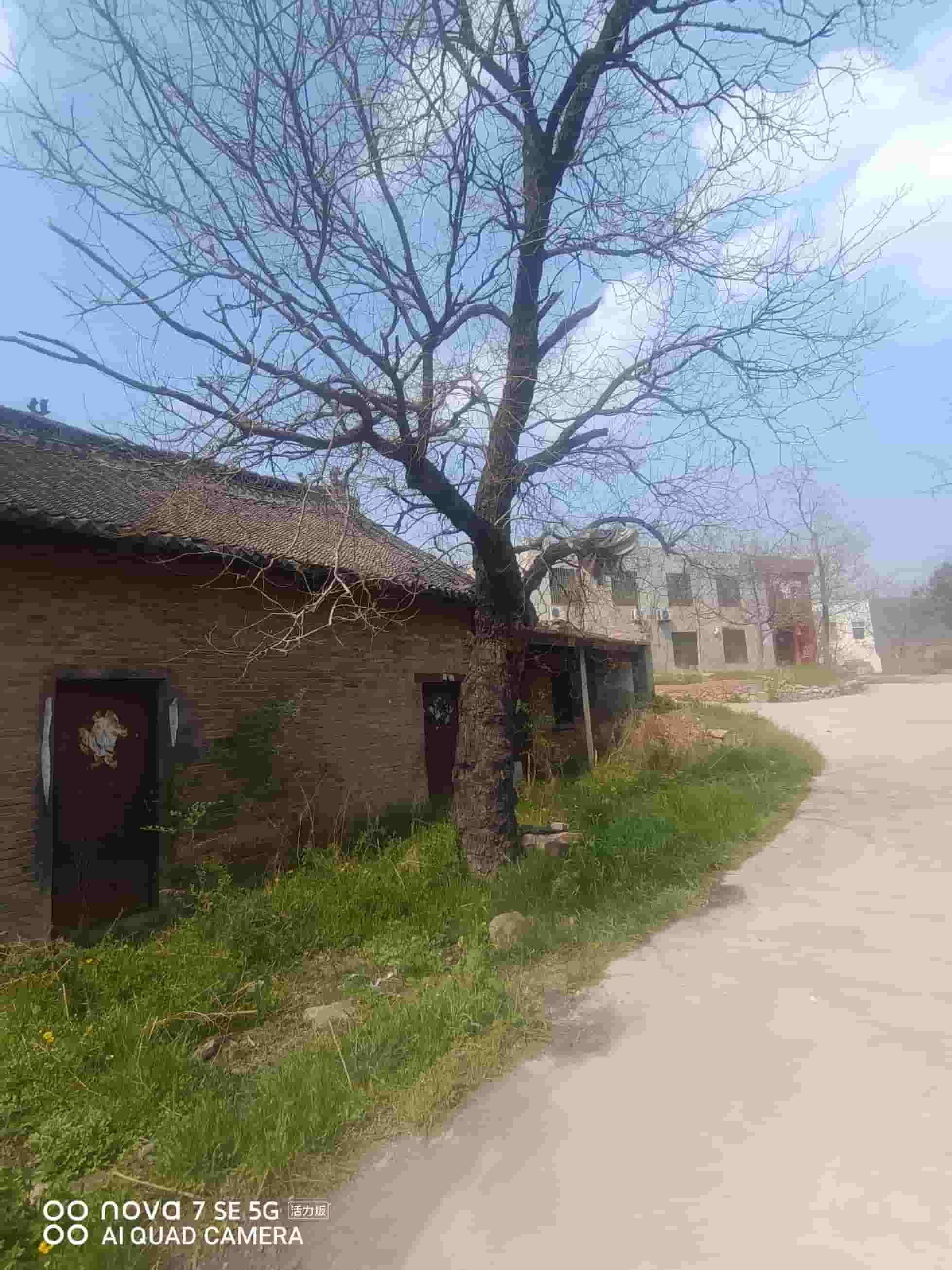 41032900629-2