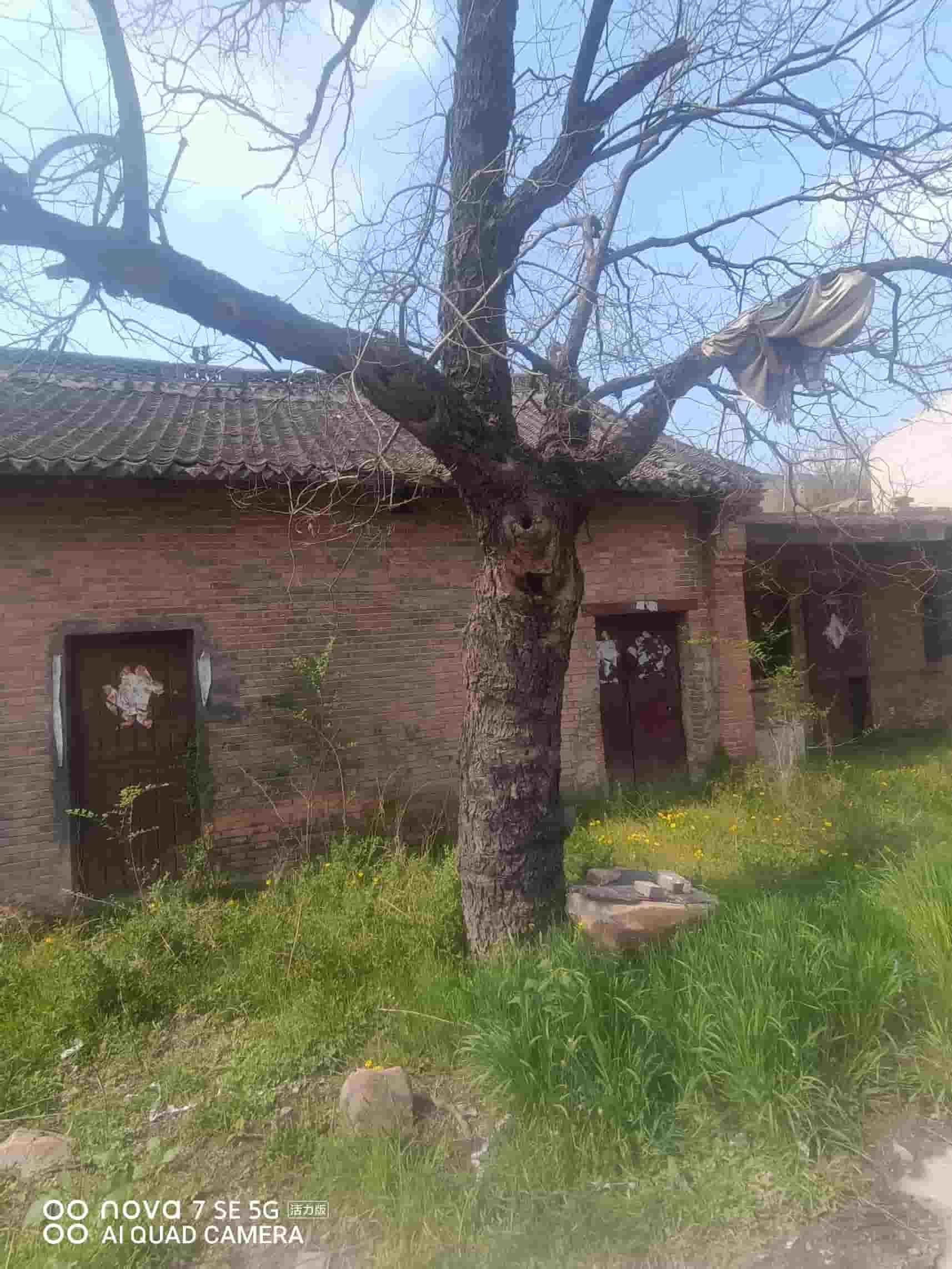 41032900629-3