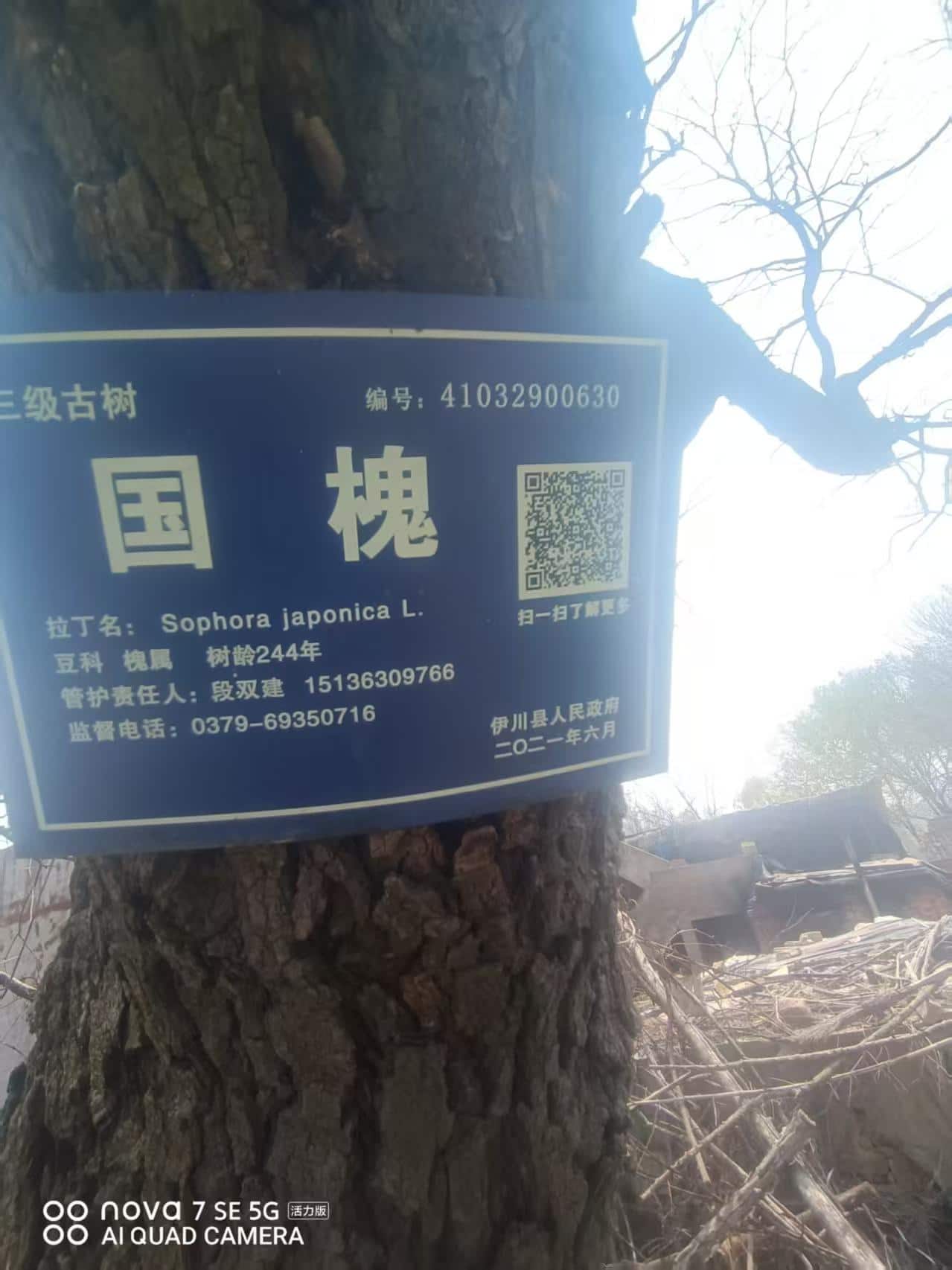 41032900630-4