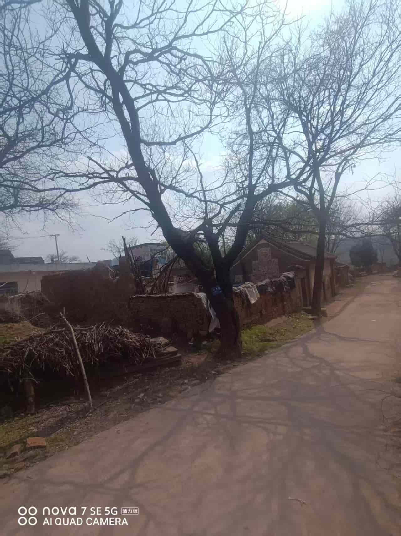 41032900631
