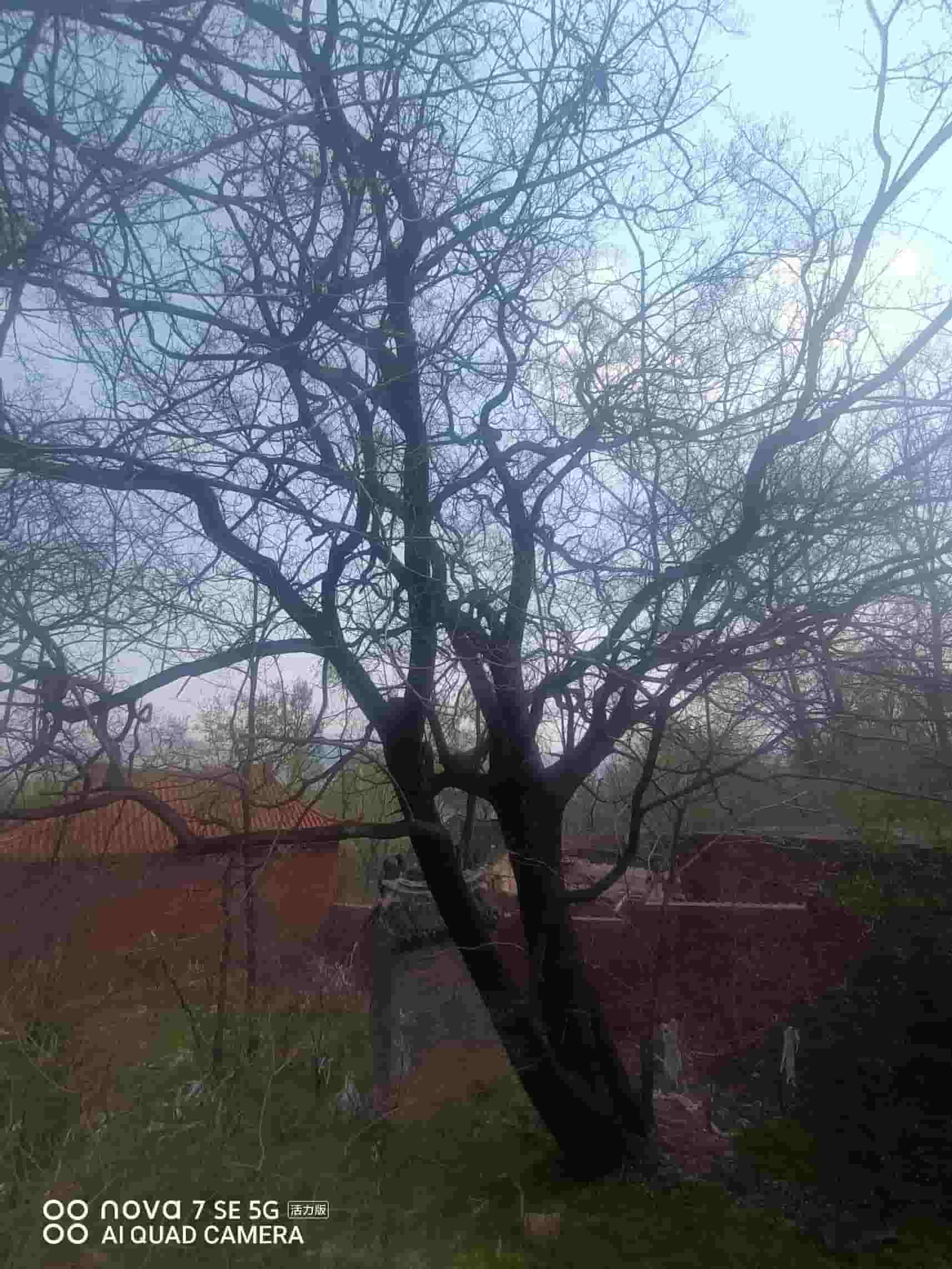 41032900632