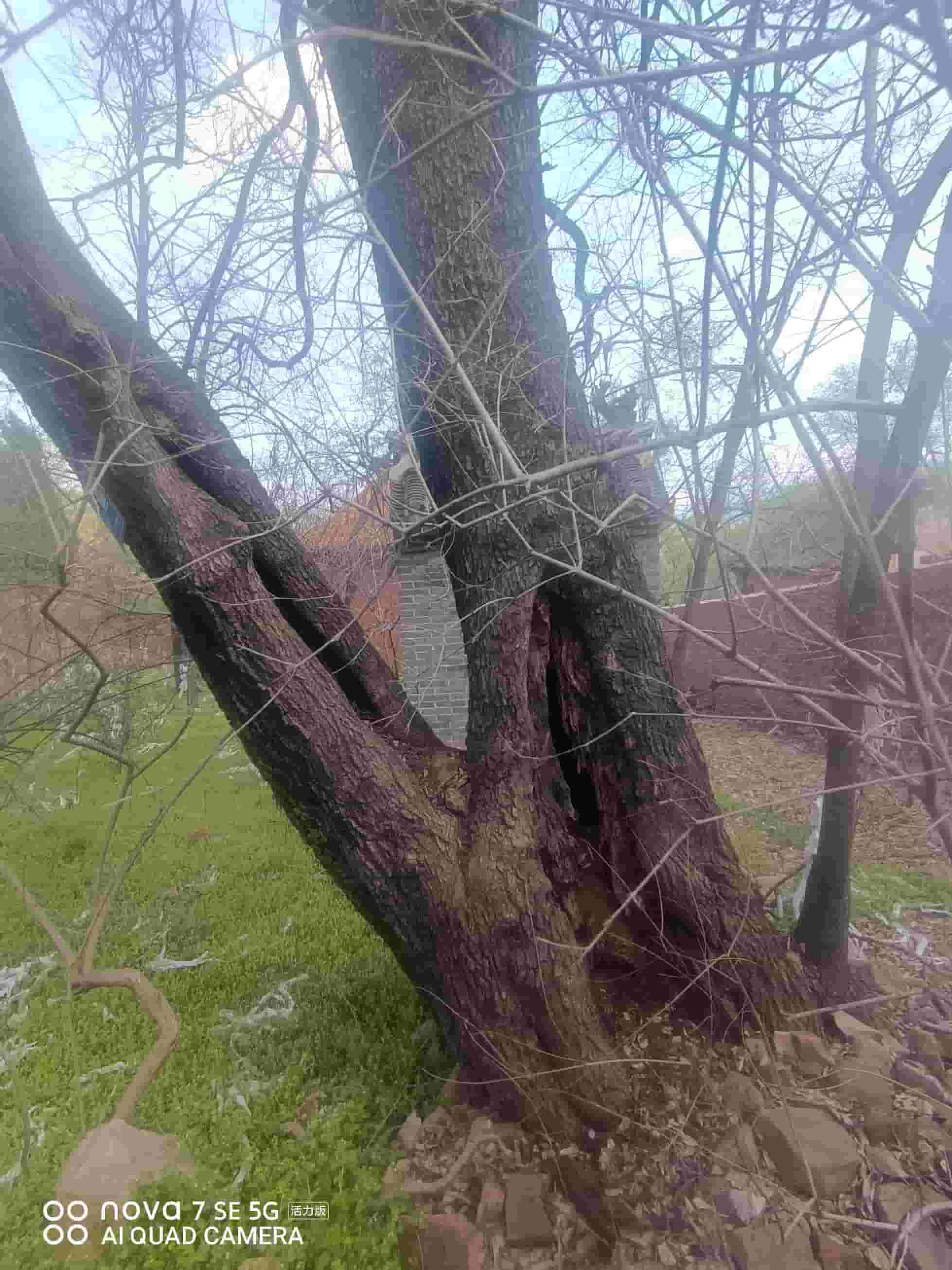 41032900632-3