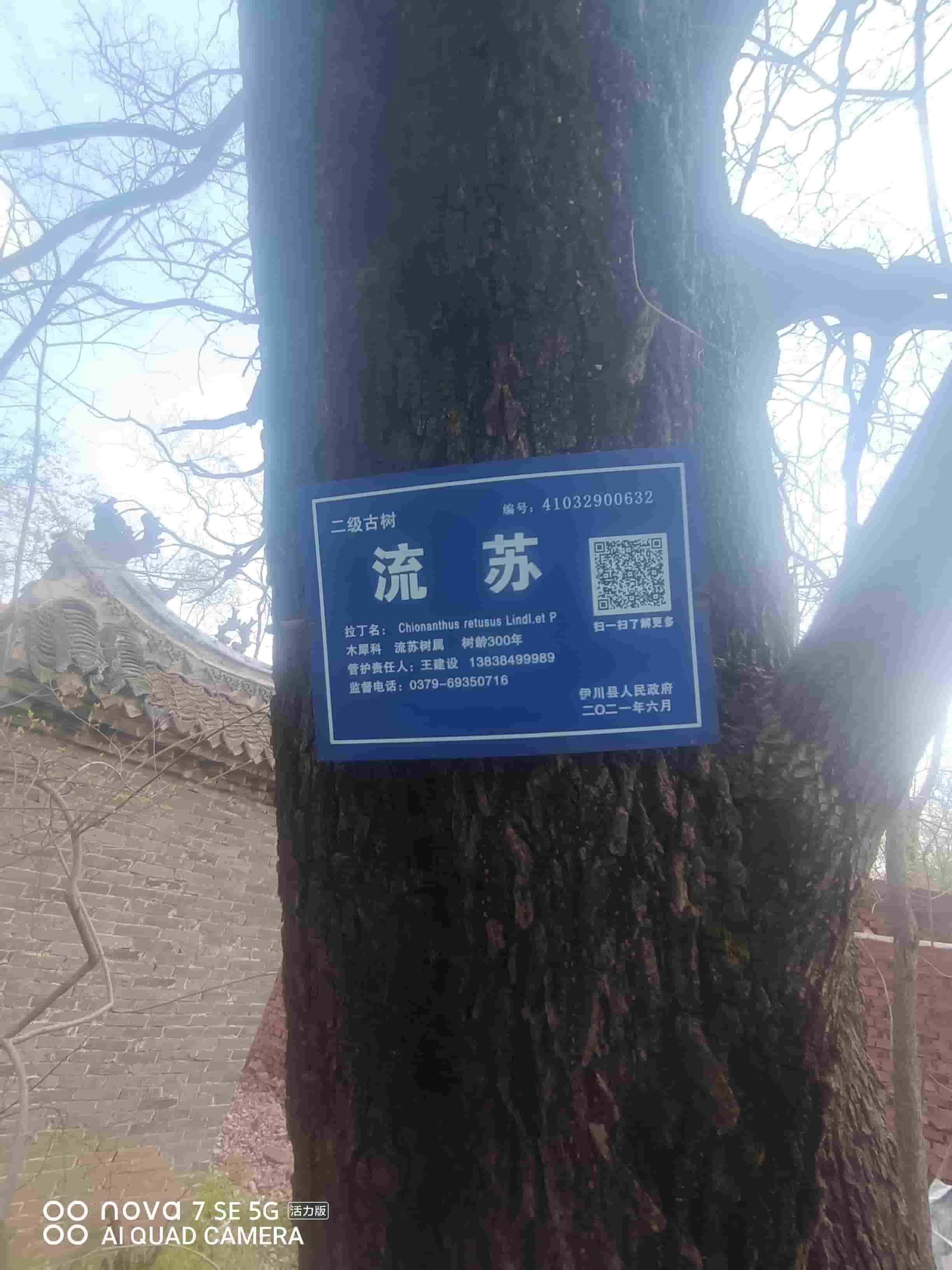 41032900632-4