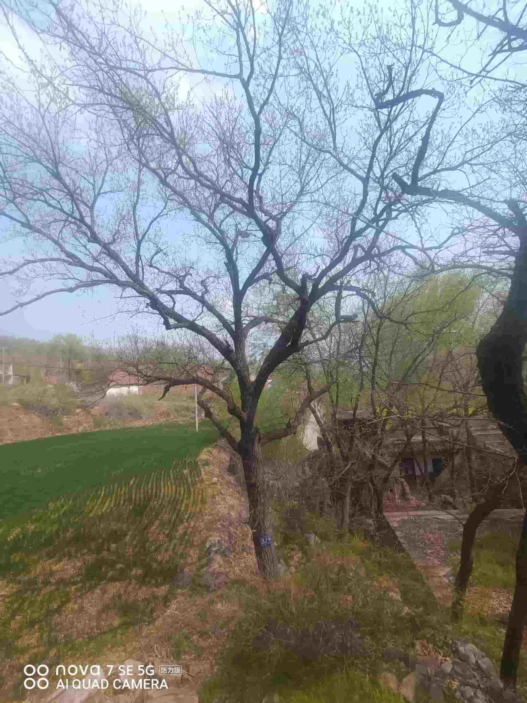 41032900633