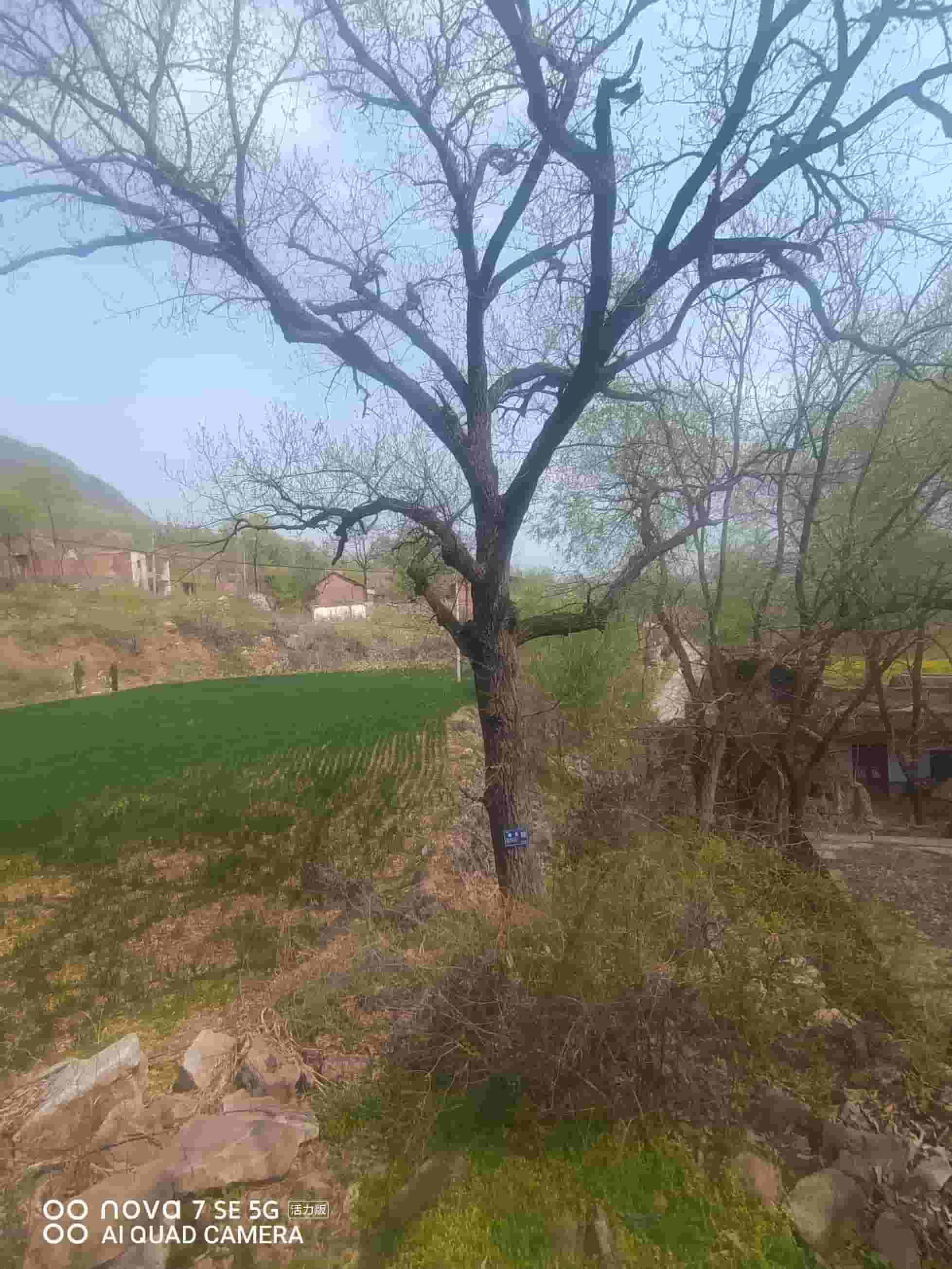 41032900633-2