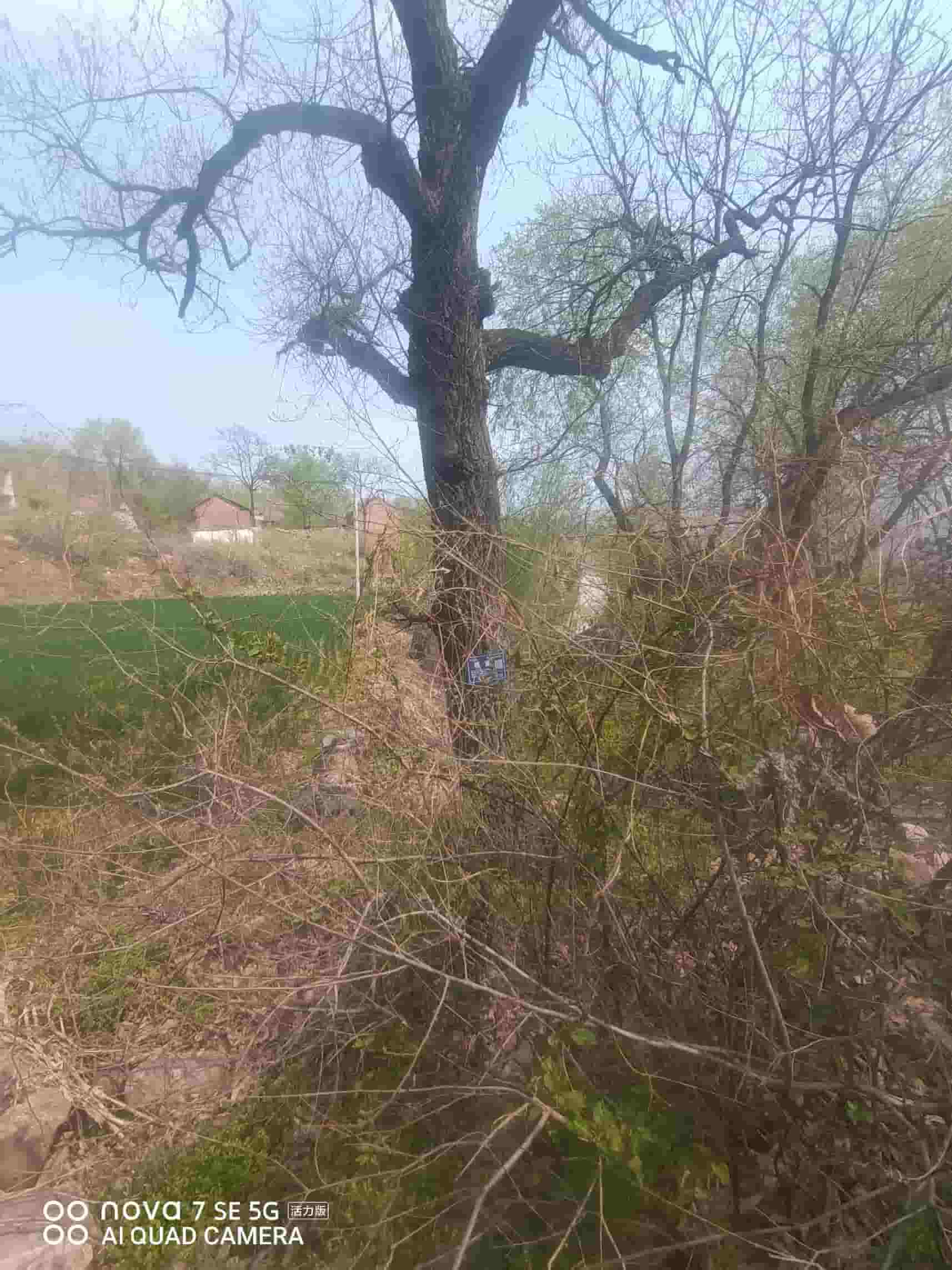 41032900633-3