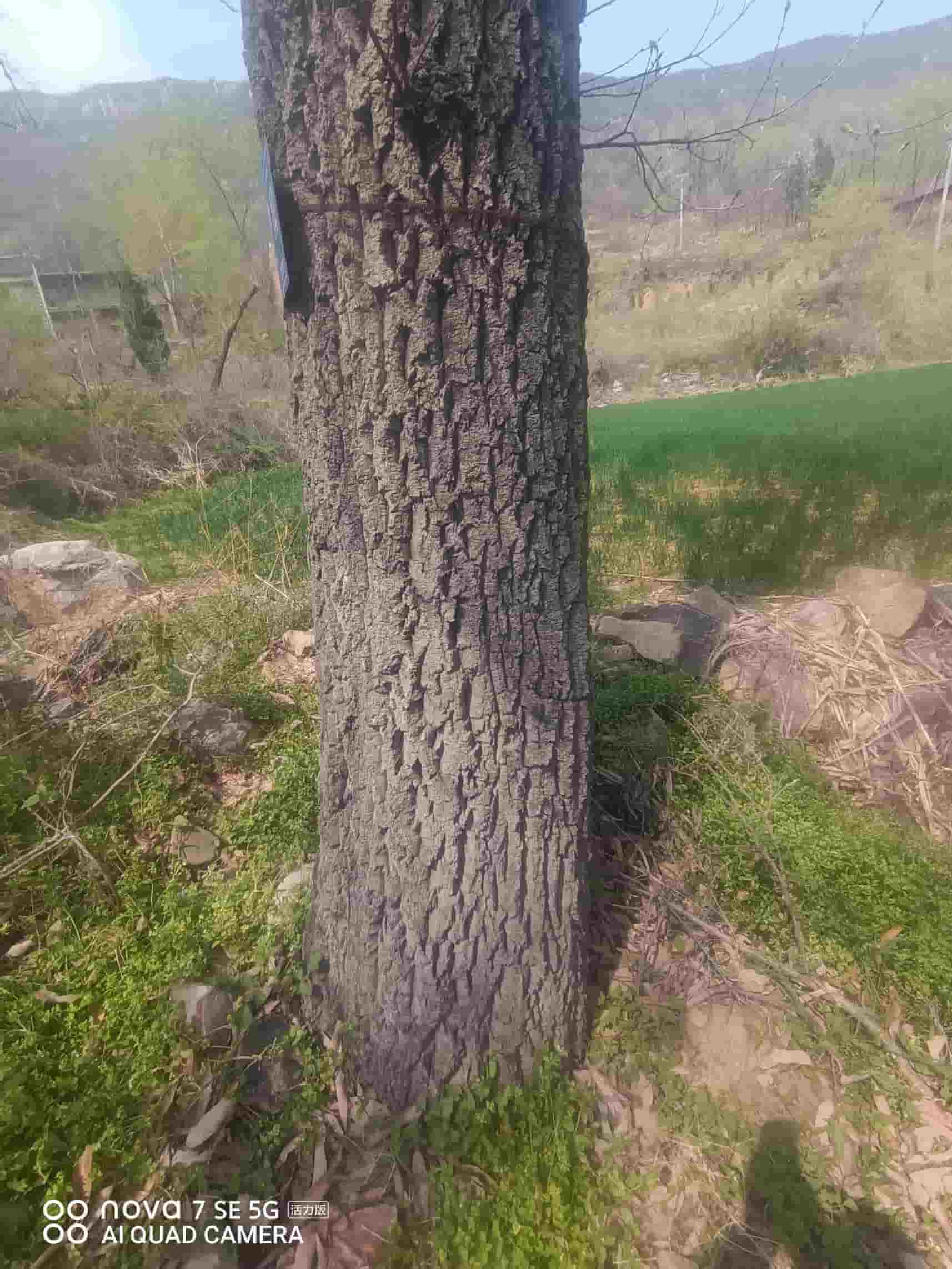 41032900633-4