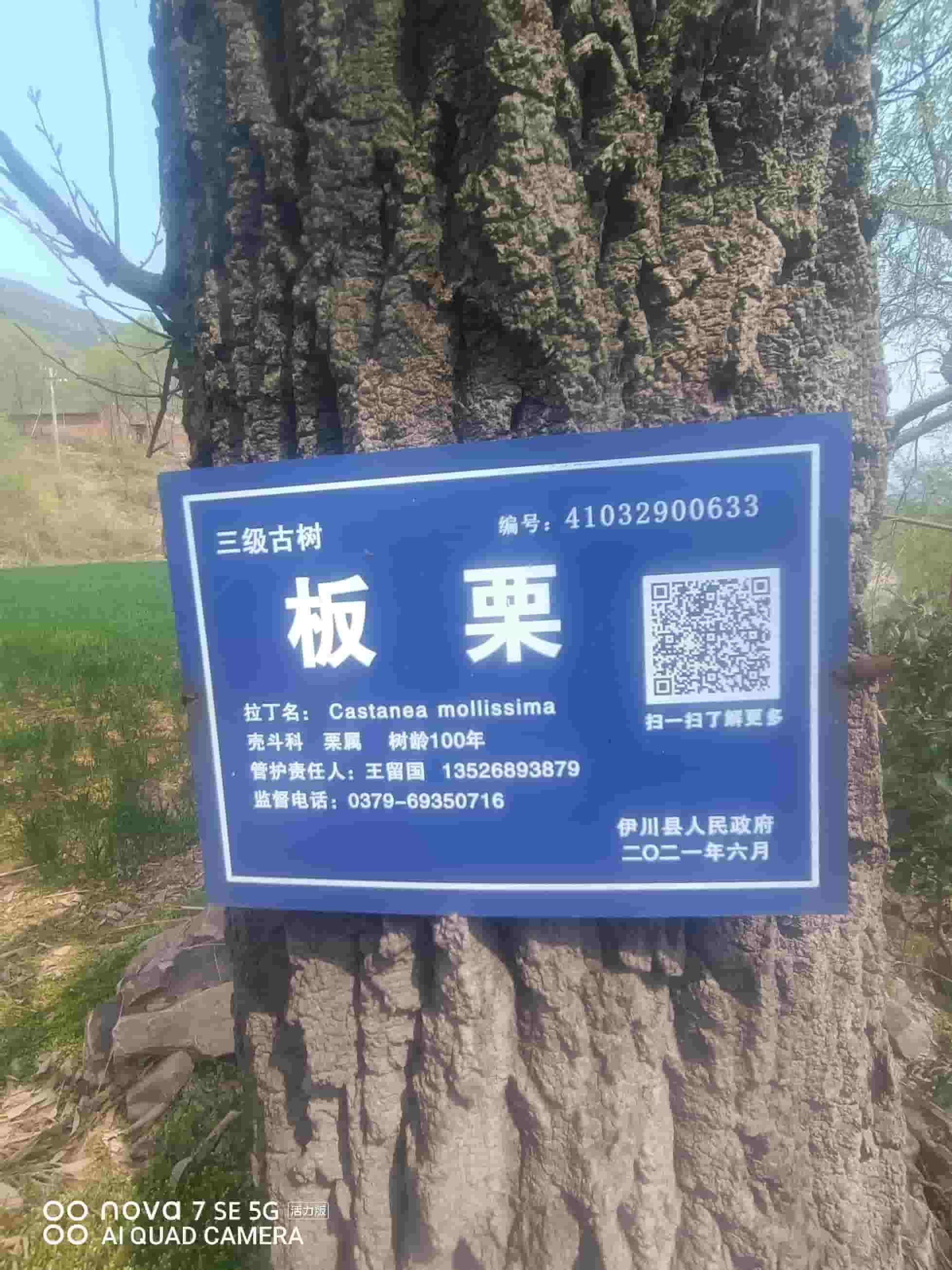 41032900633-5