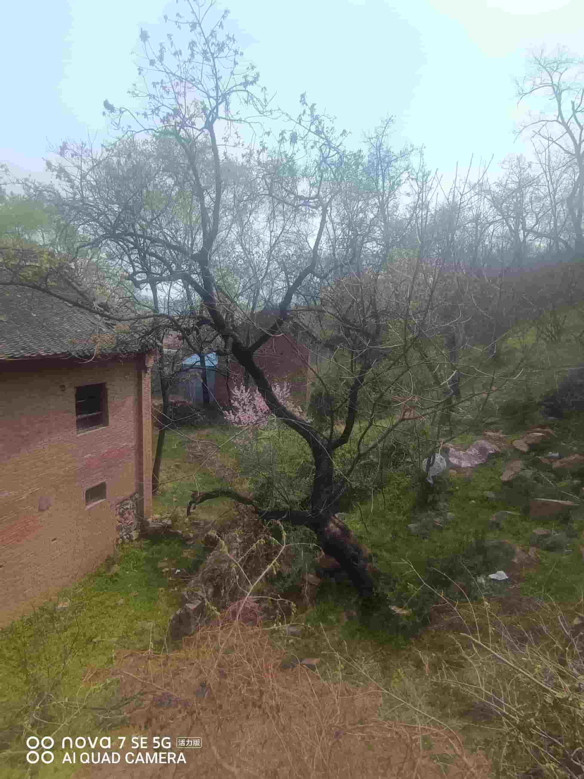 41032900634-2