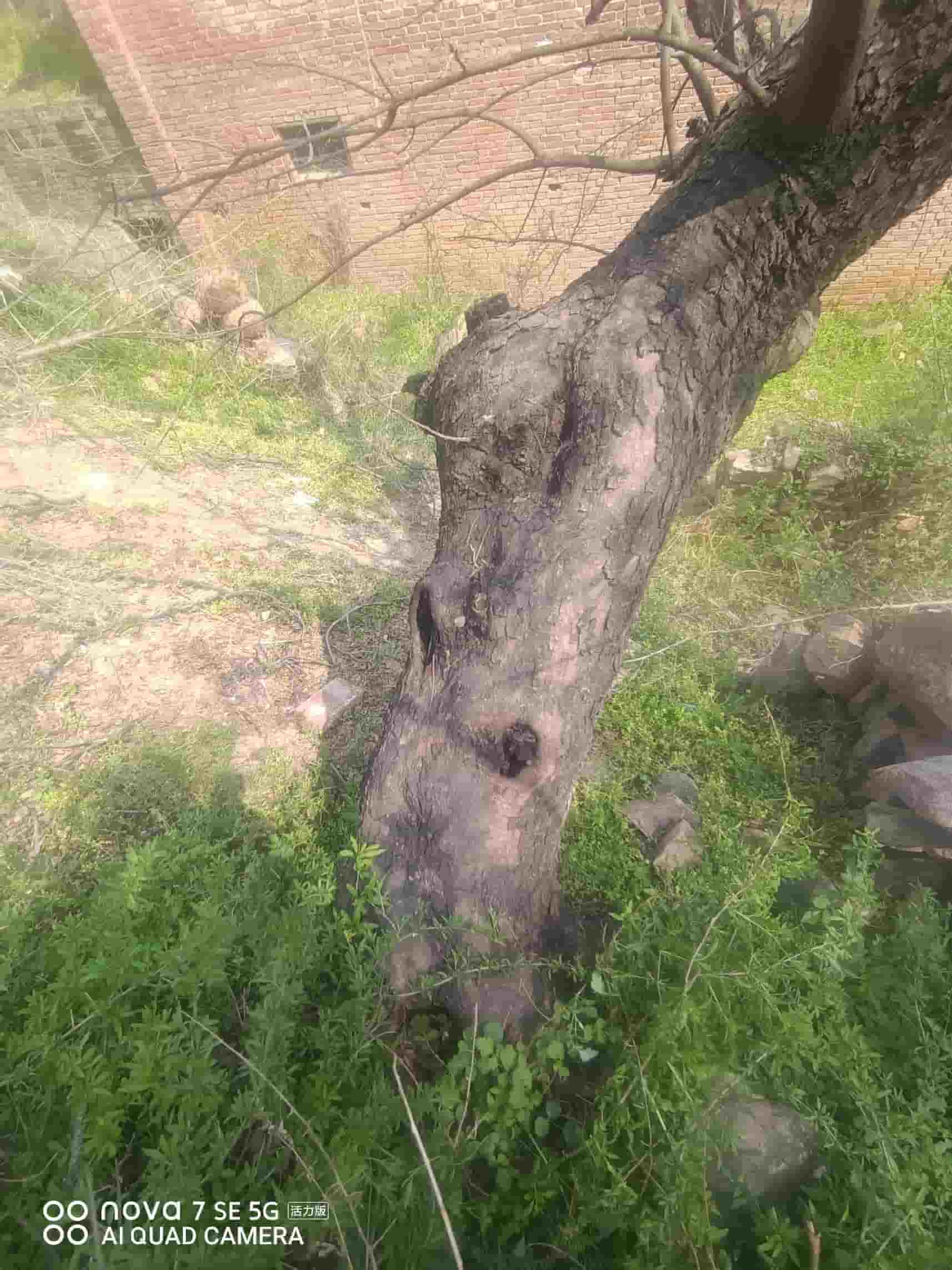41032900634-4