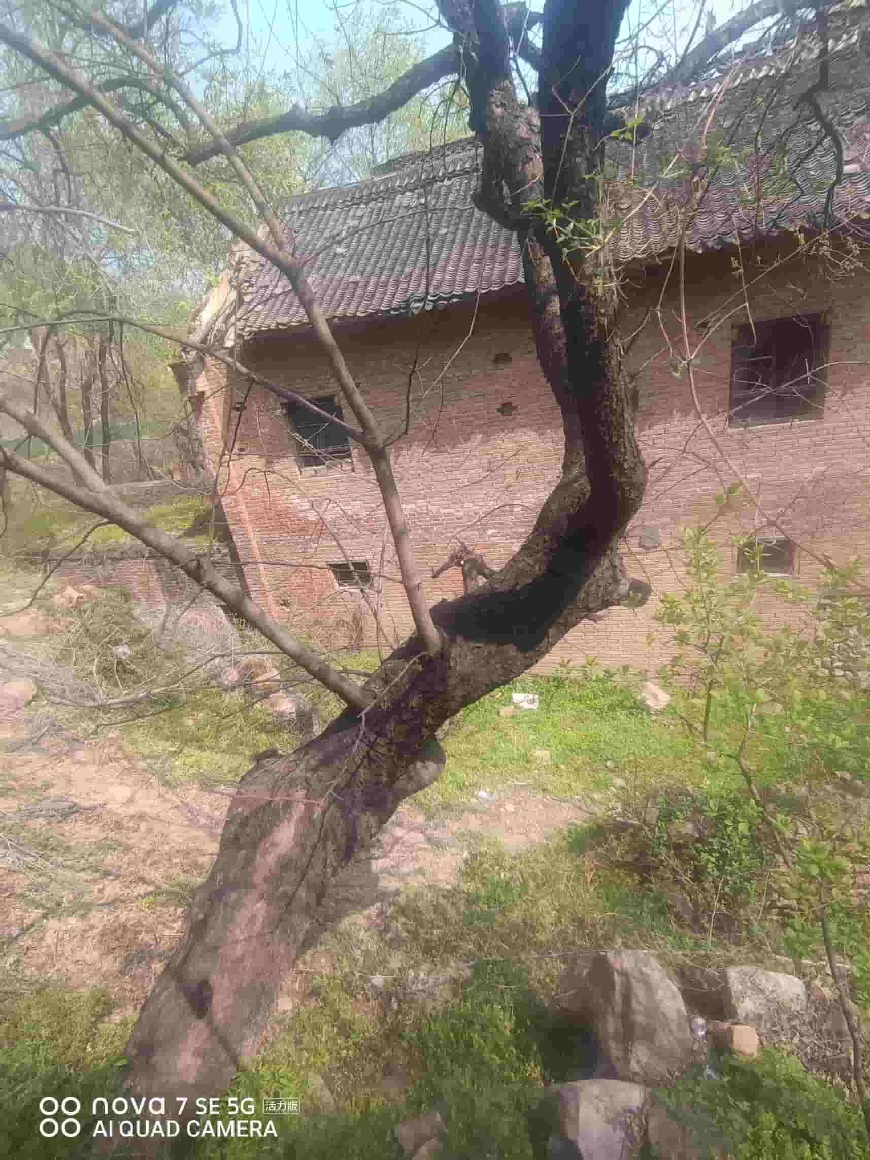 41032900634-5