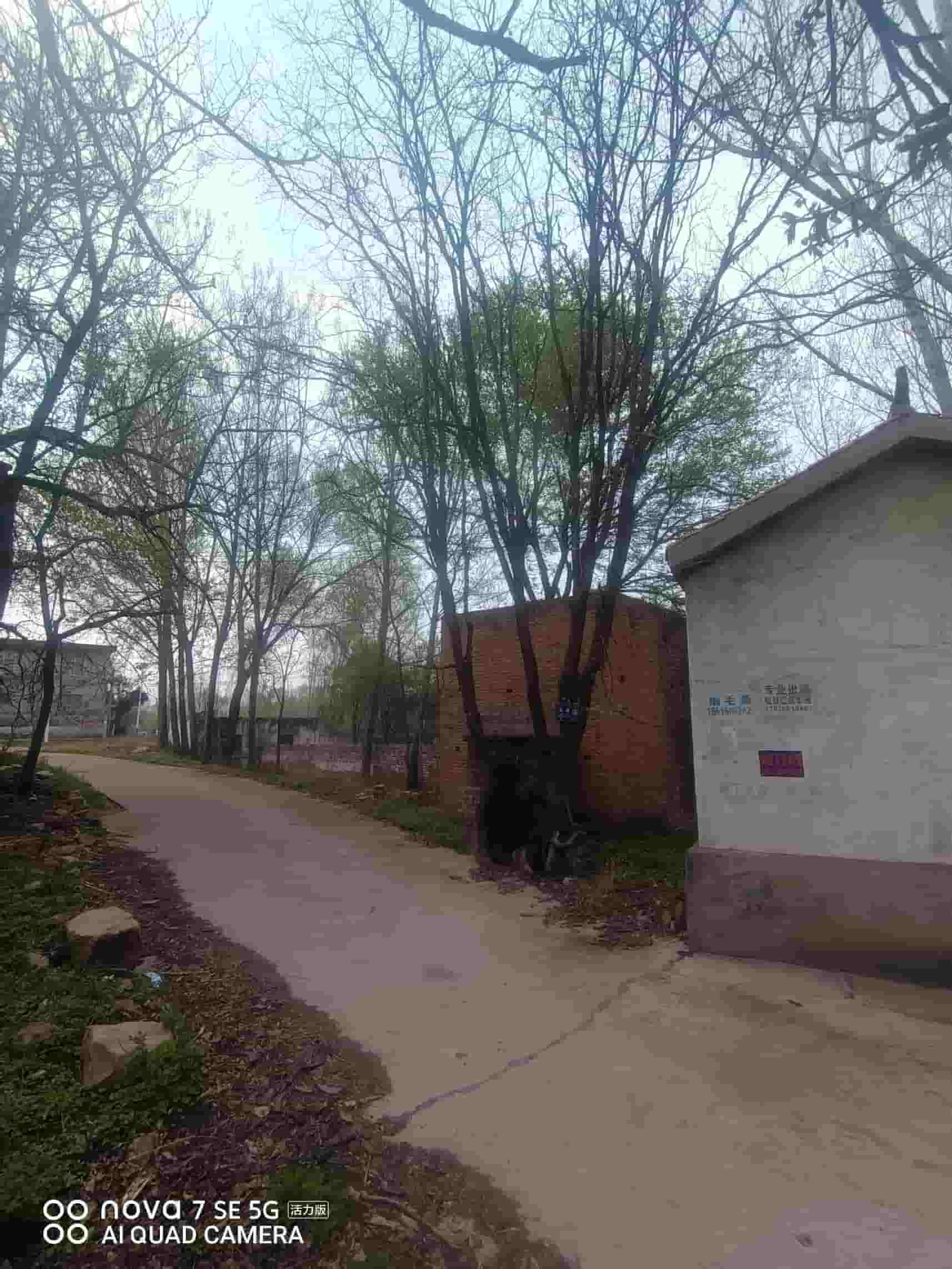 41032900635