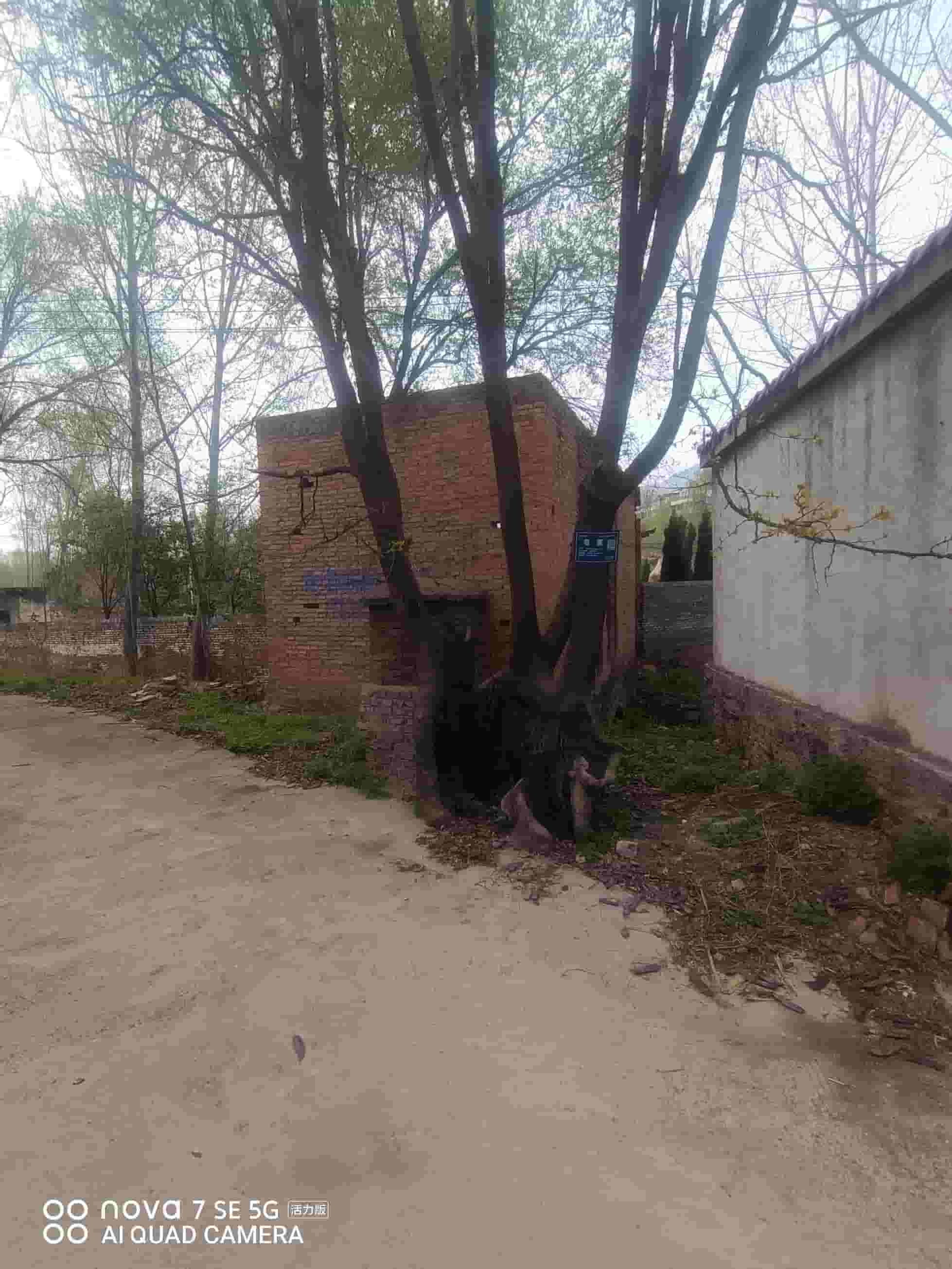 41032900635-2