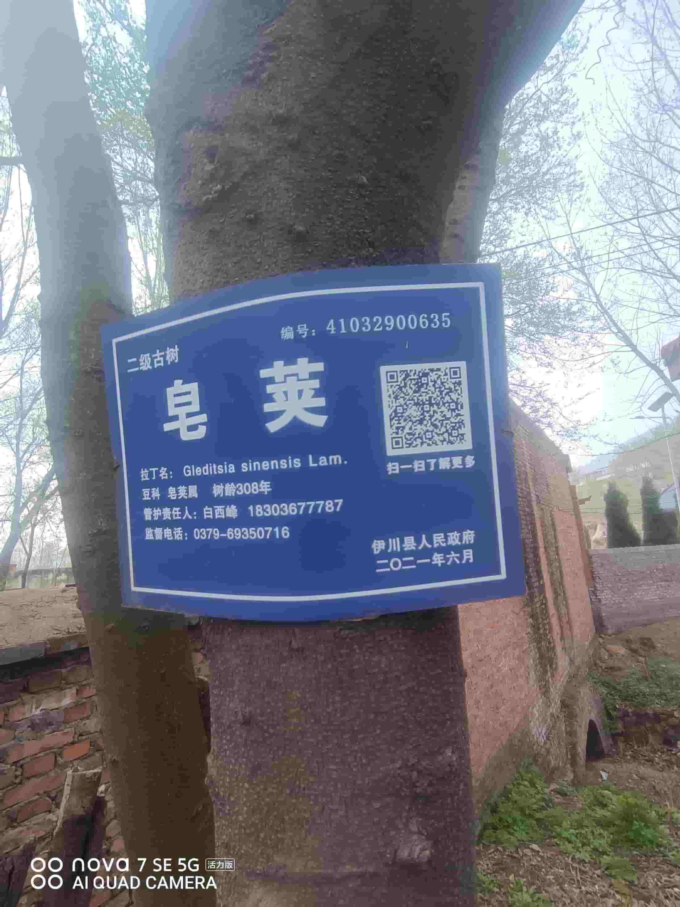 41032900635-3
