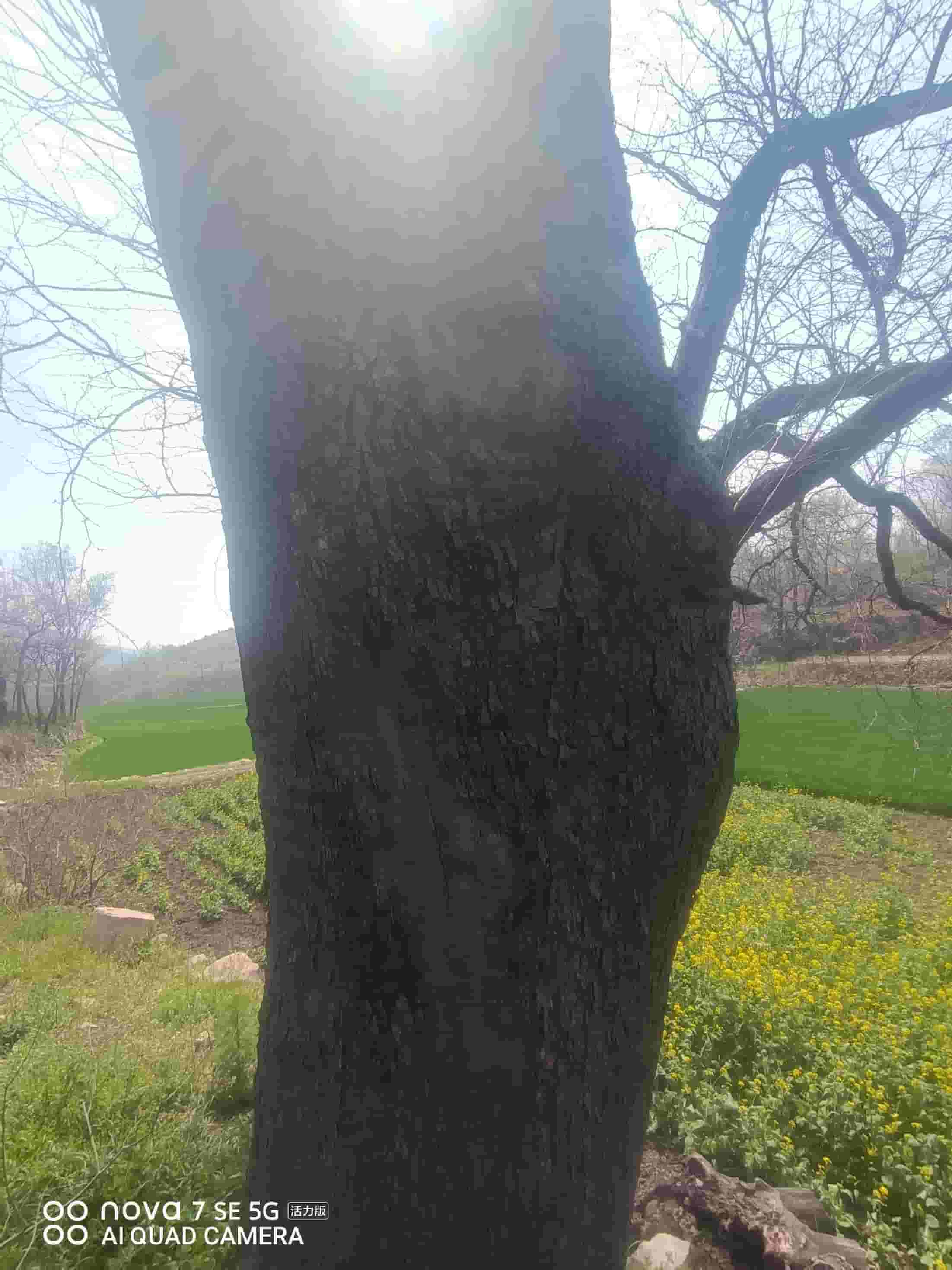 41032900637