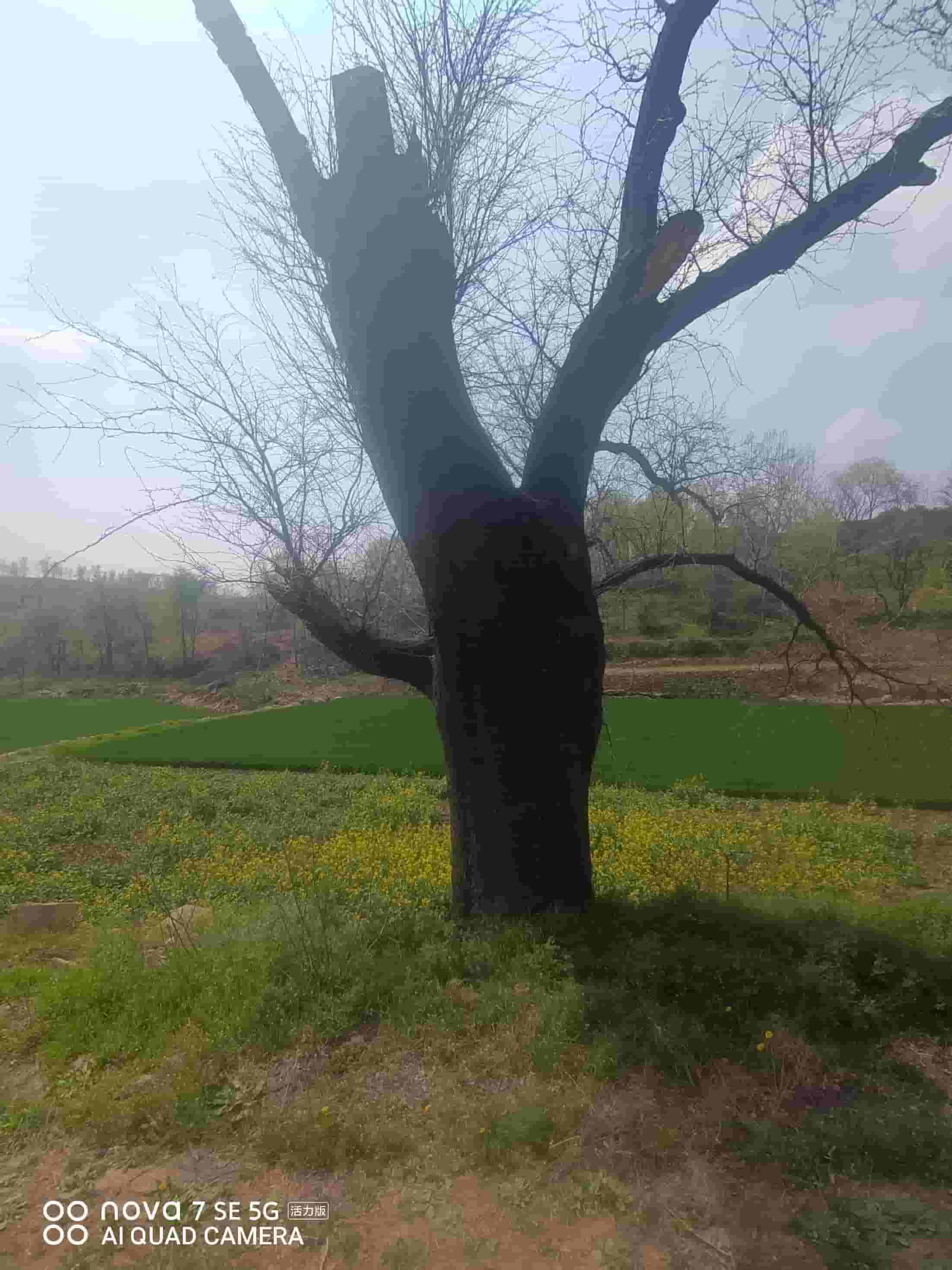 41032900637-3