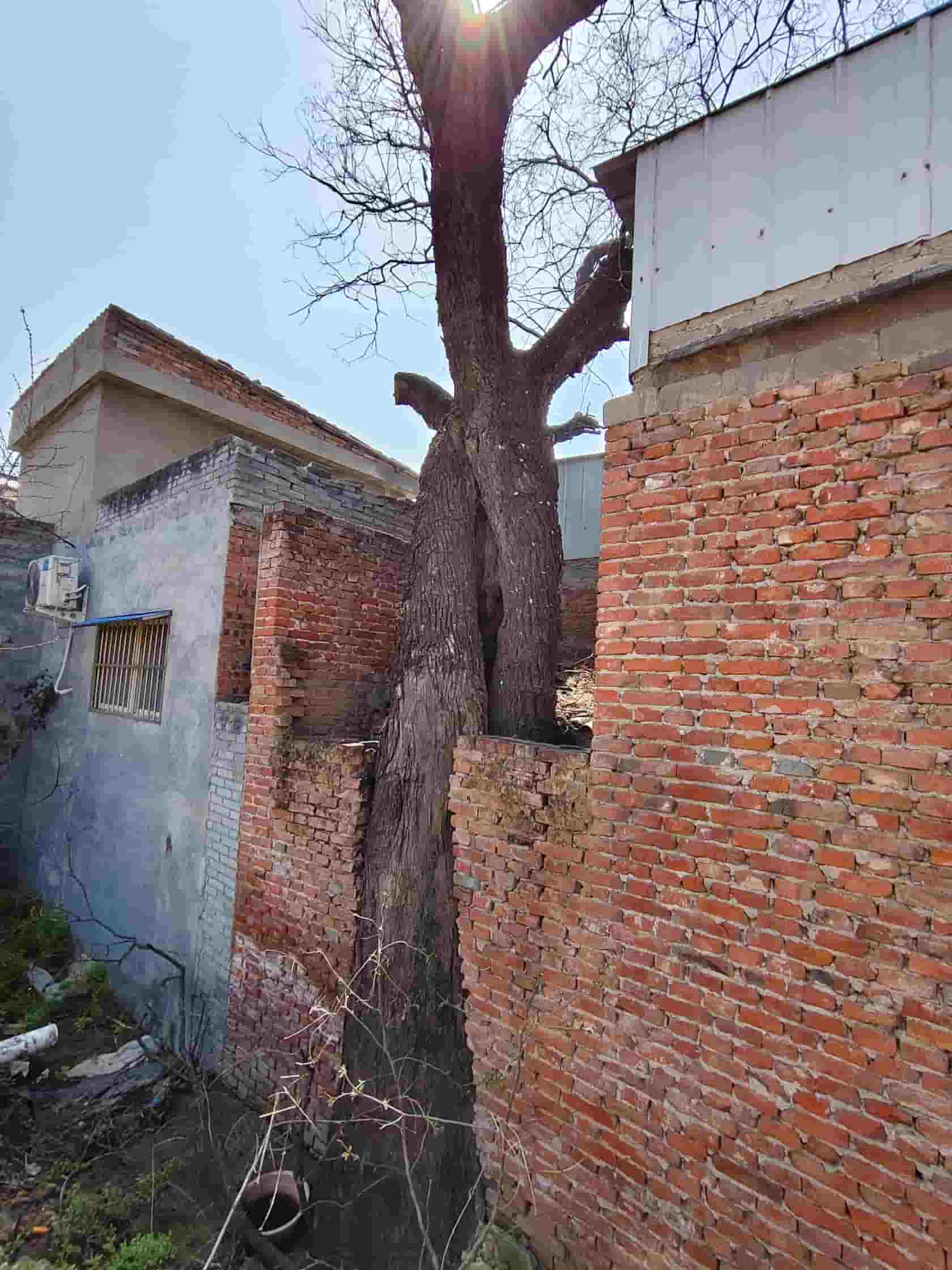 41032900643