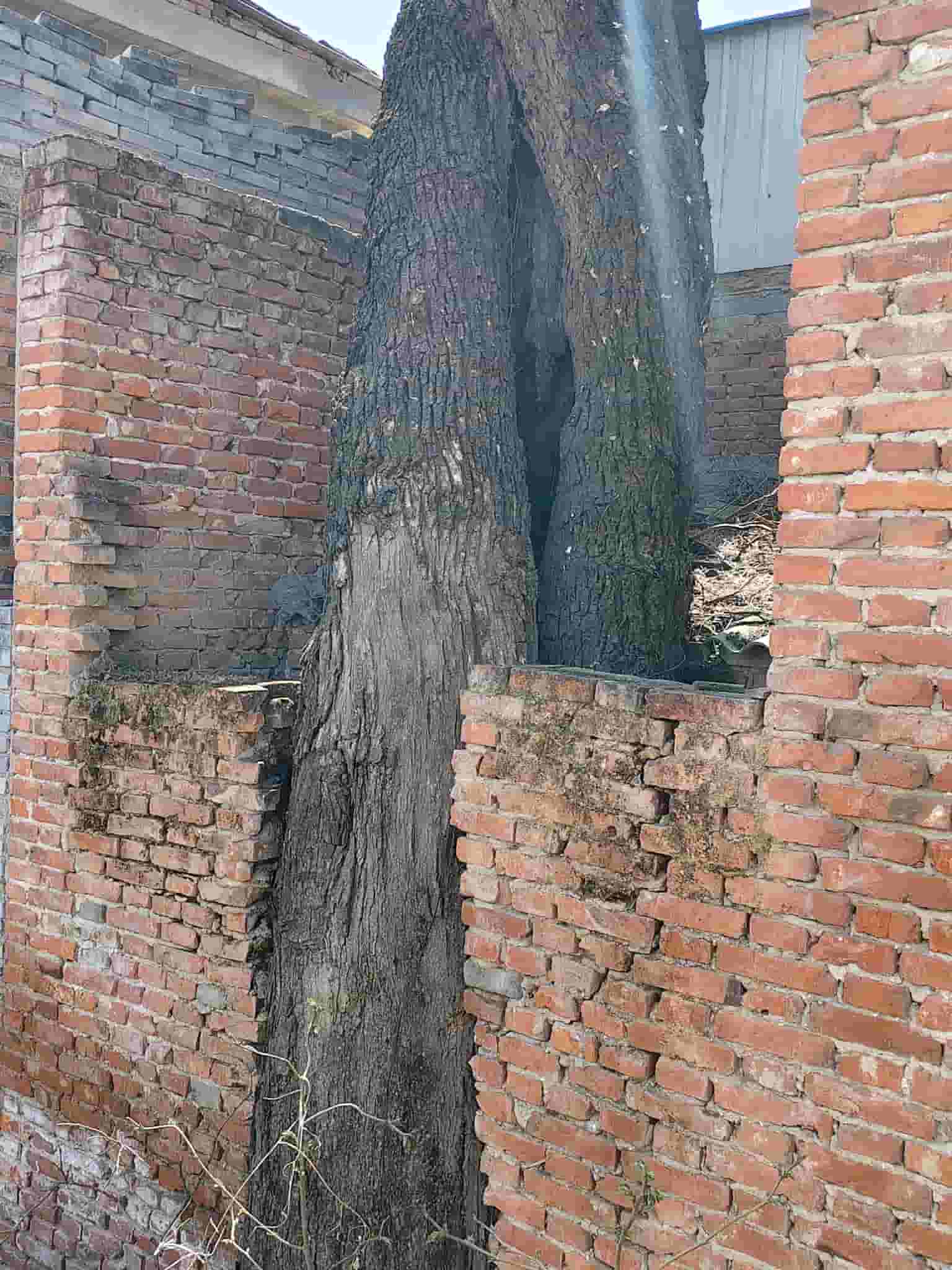 41032900643-2