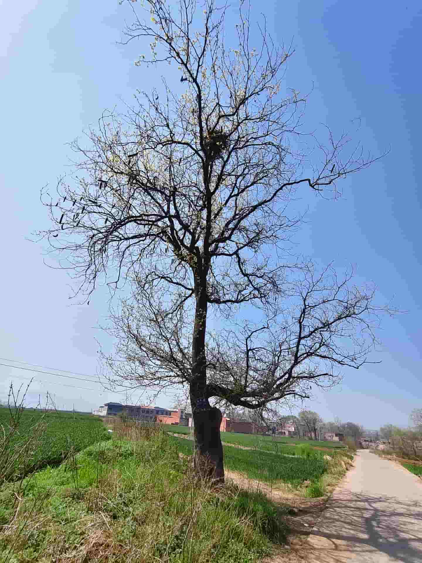 41032900646-5